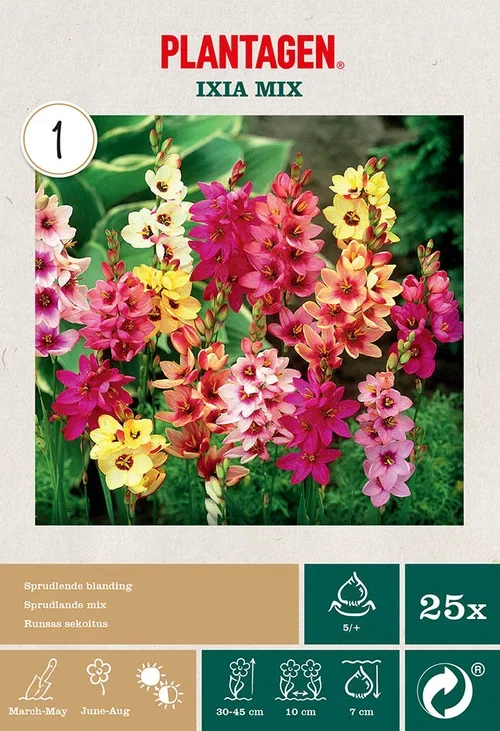 Miscelleneous Ixia mix