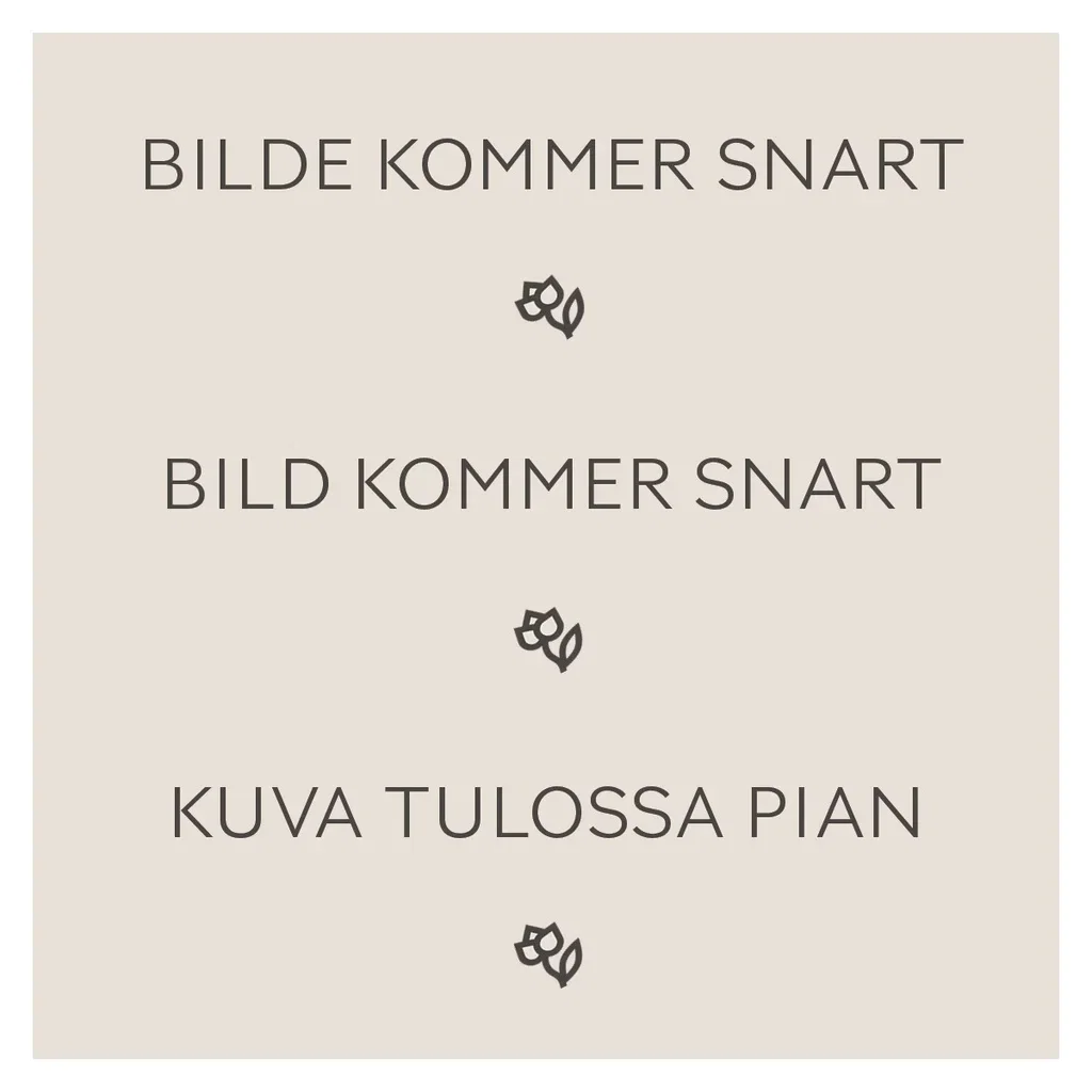 Løk 'Red Braunschweiger'