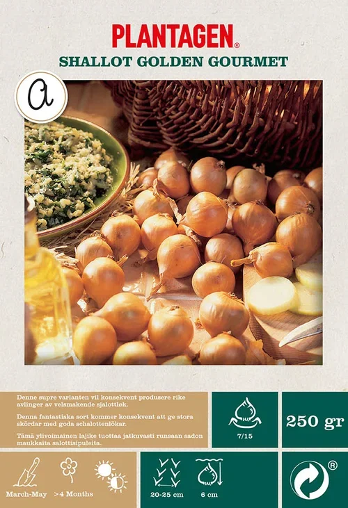 Shallot Golden Gourmet