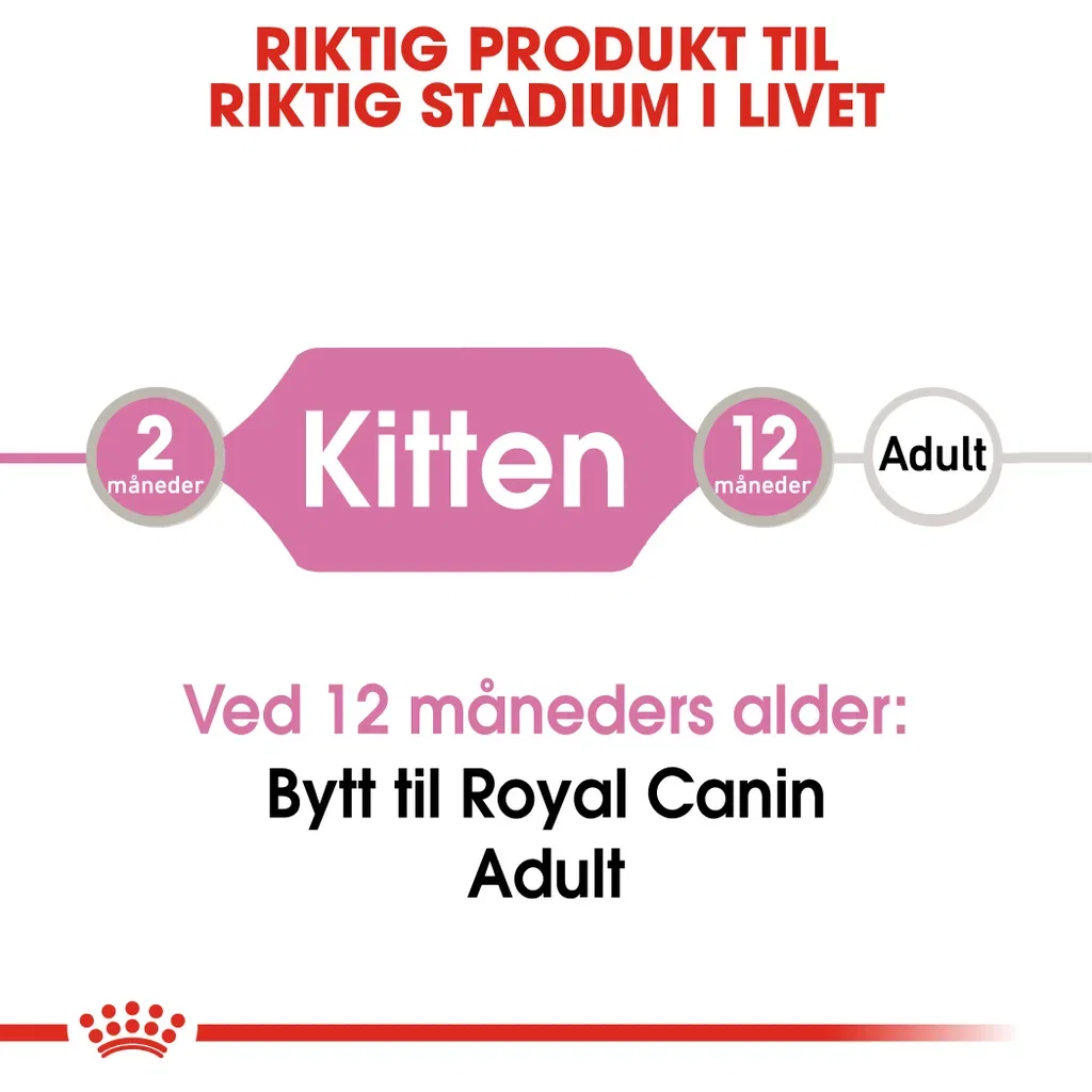 Royal Canin Kitten Saus