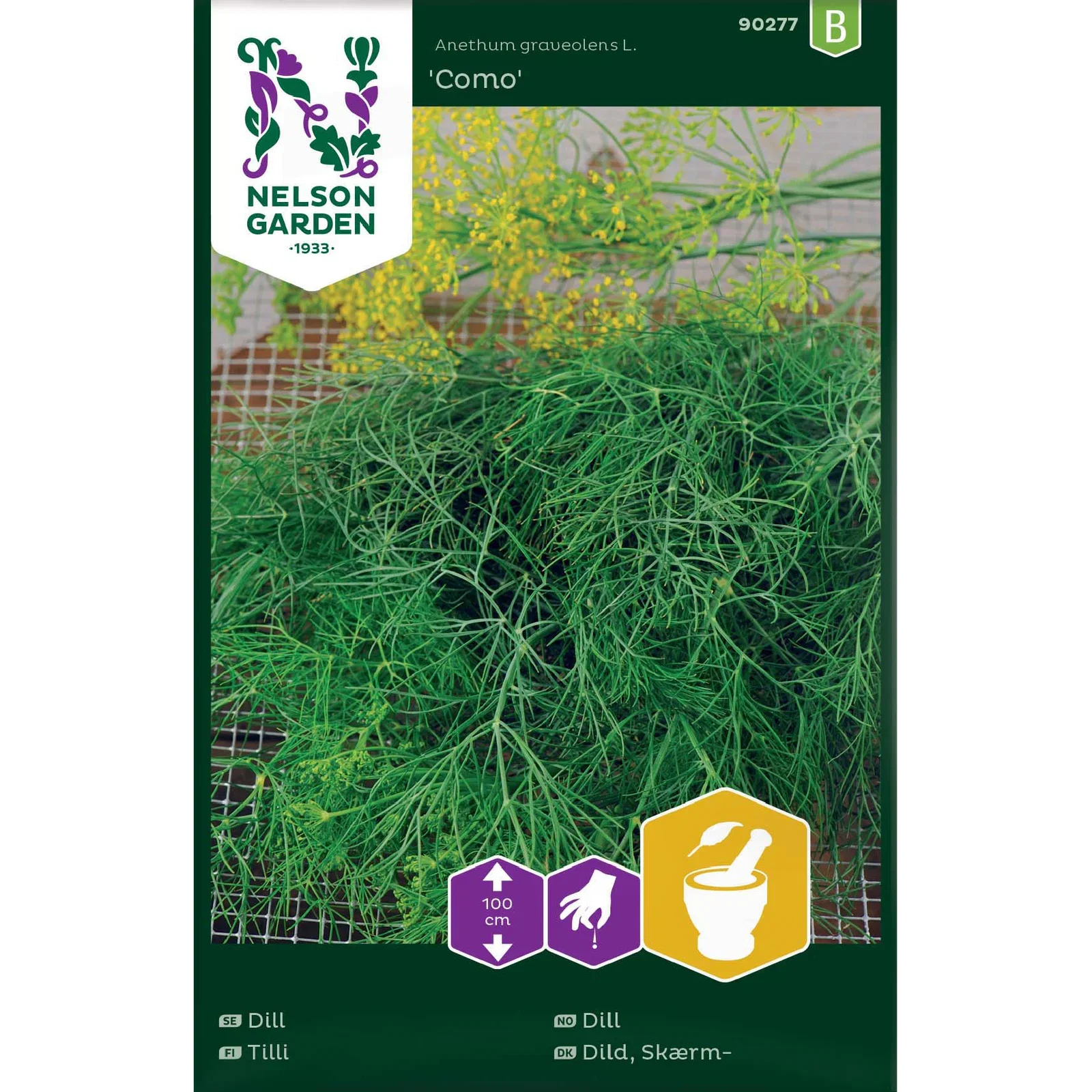 Dill, Vanlig, Como