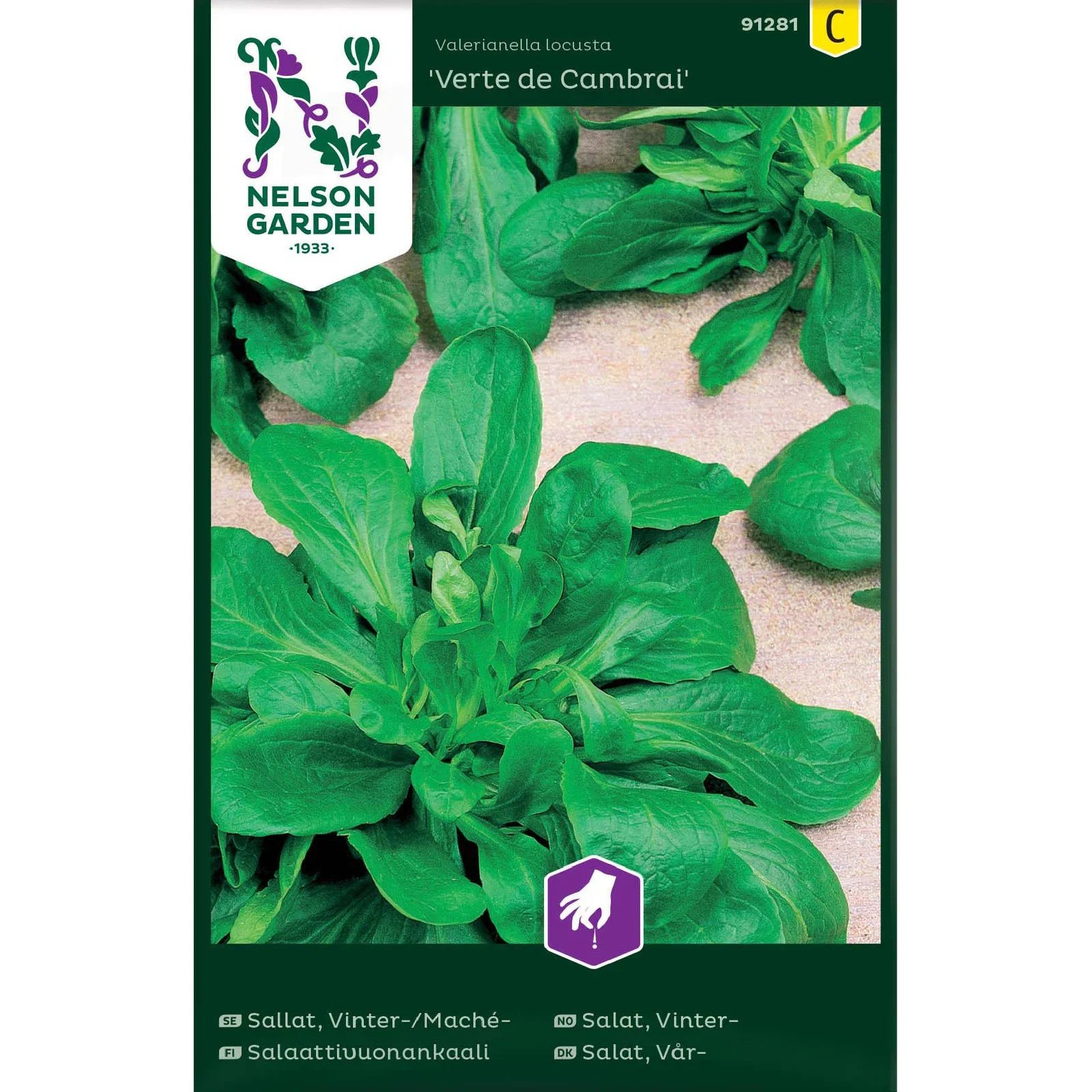 Vintersalat 'Verte de Cambrai'