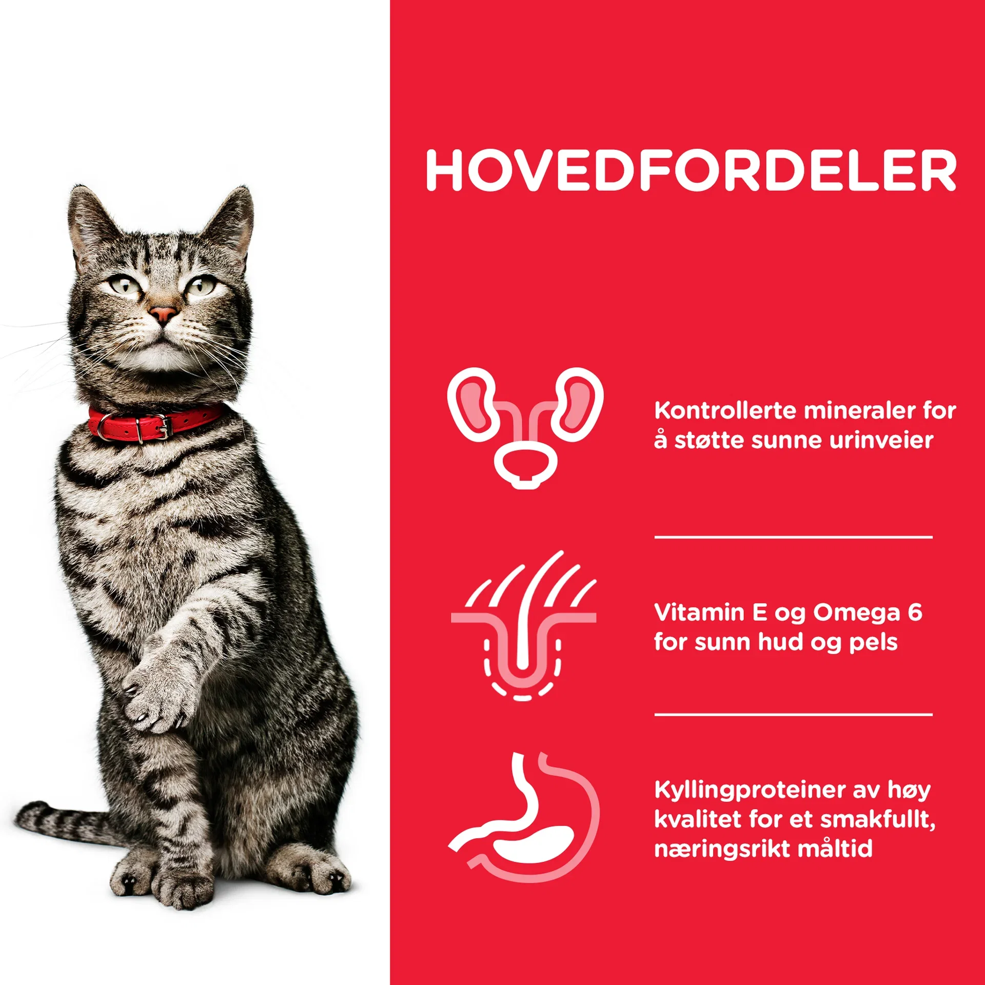 SP Feline Adult Urinary Health Chicken 1.5kg