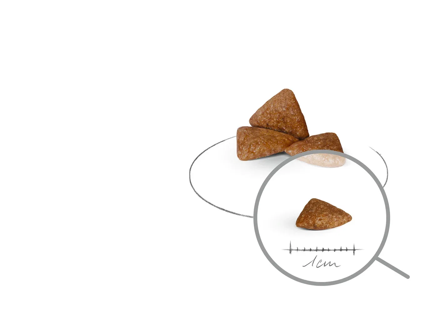 X-SMALL Ageing 12+ 1,5 kg