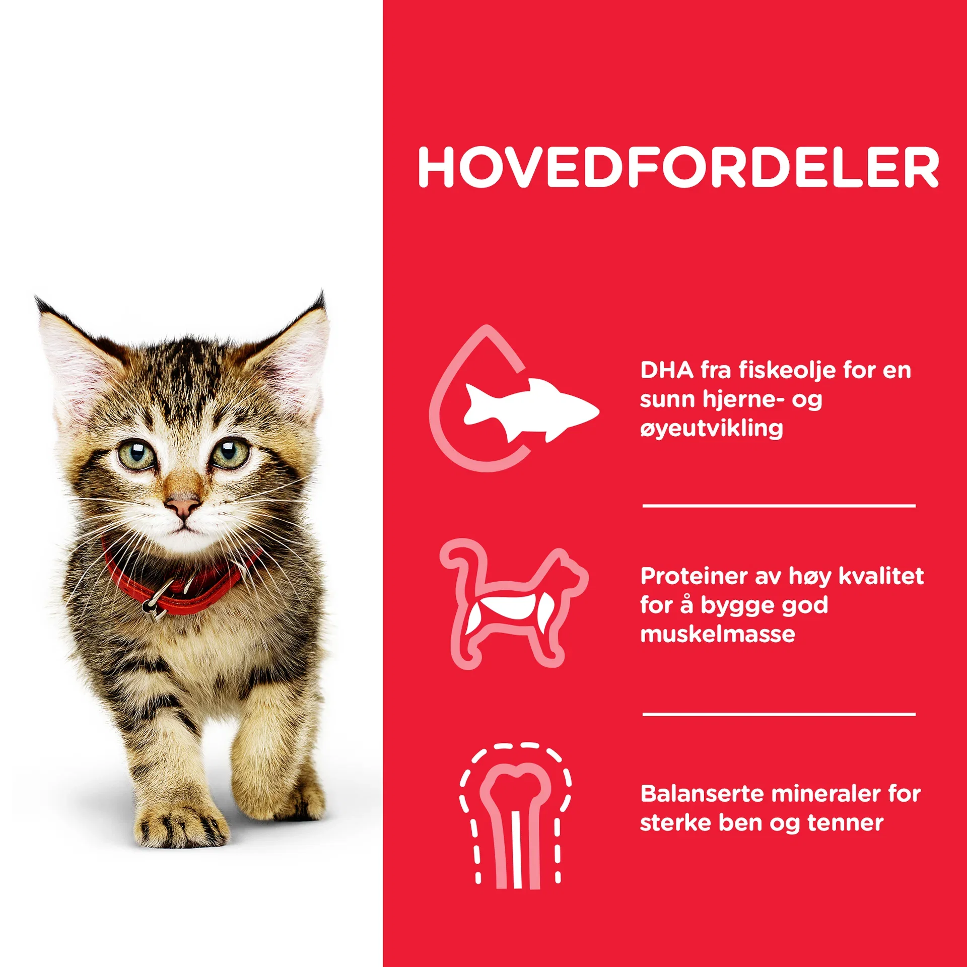 SP Kitten Chicken 7kg