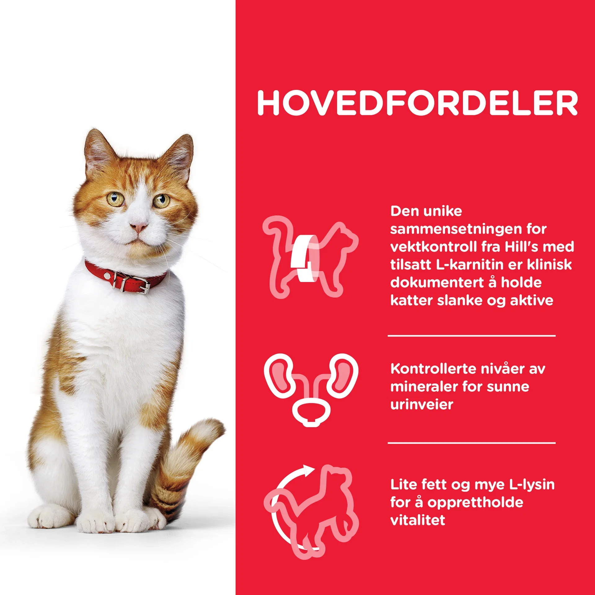 Hill's Sterilised cat Young adult Kylling