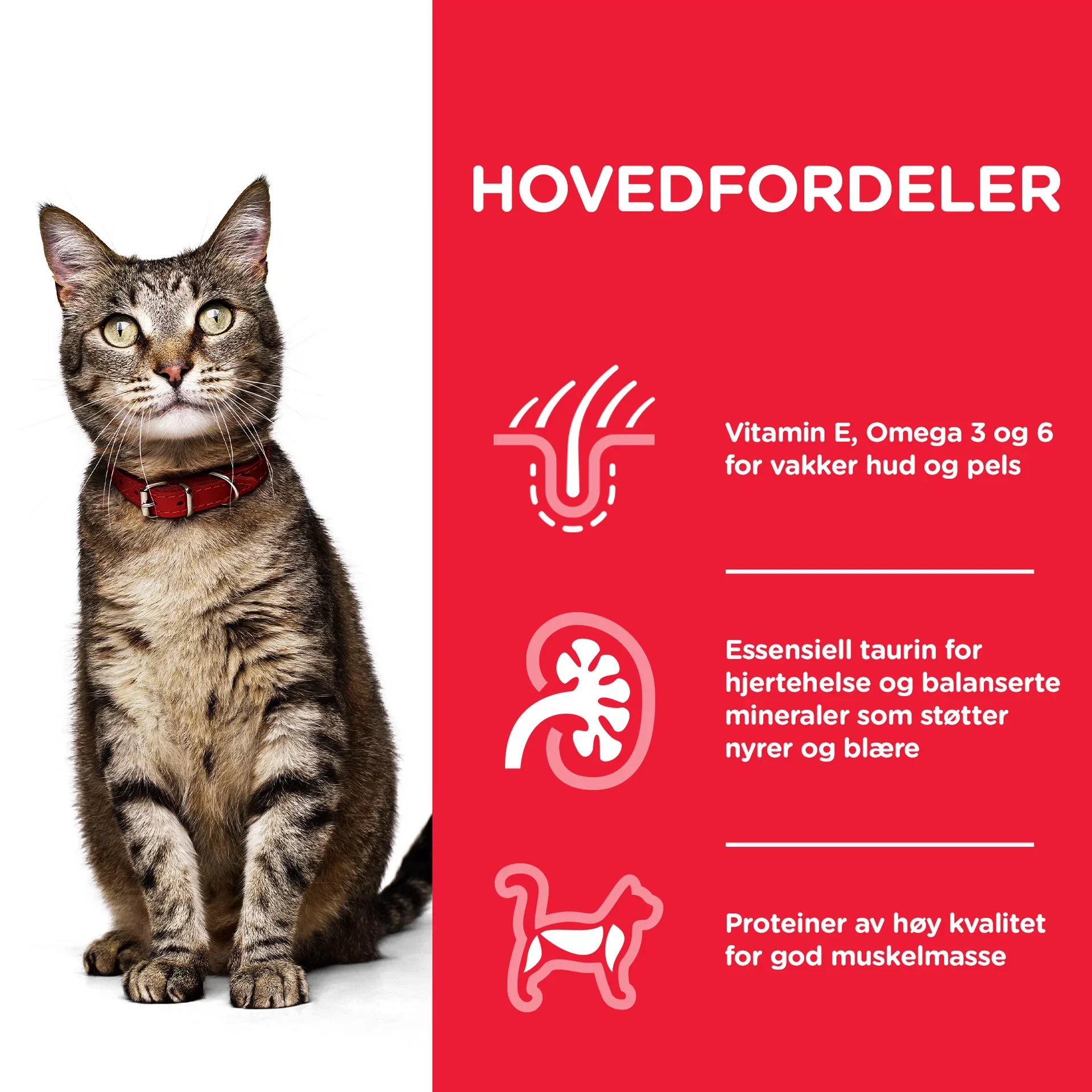 Hill's Adult Kylling