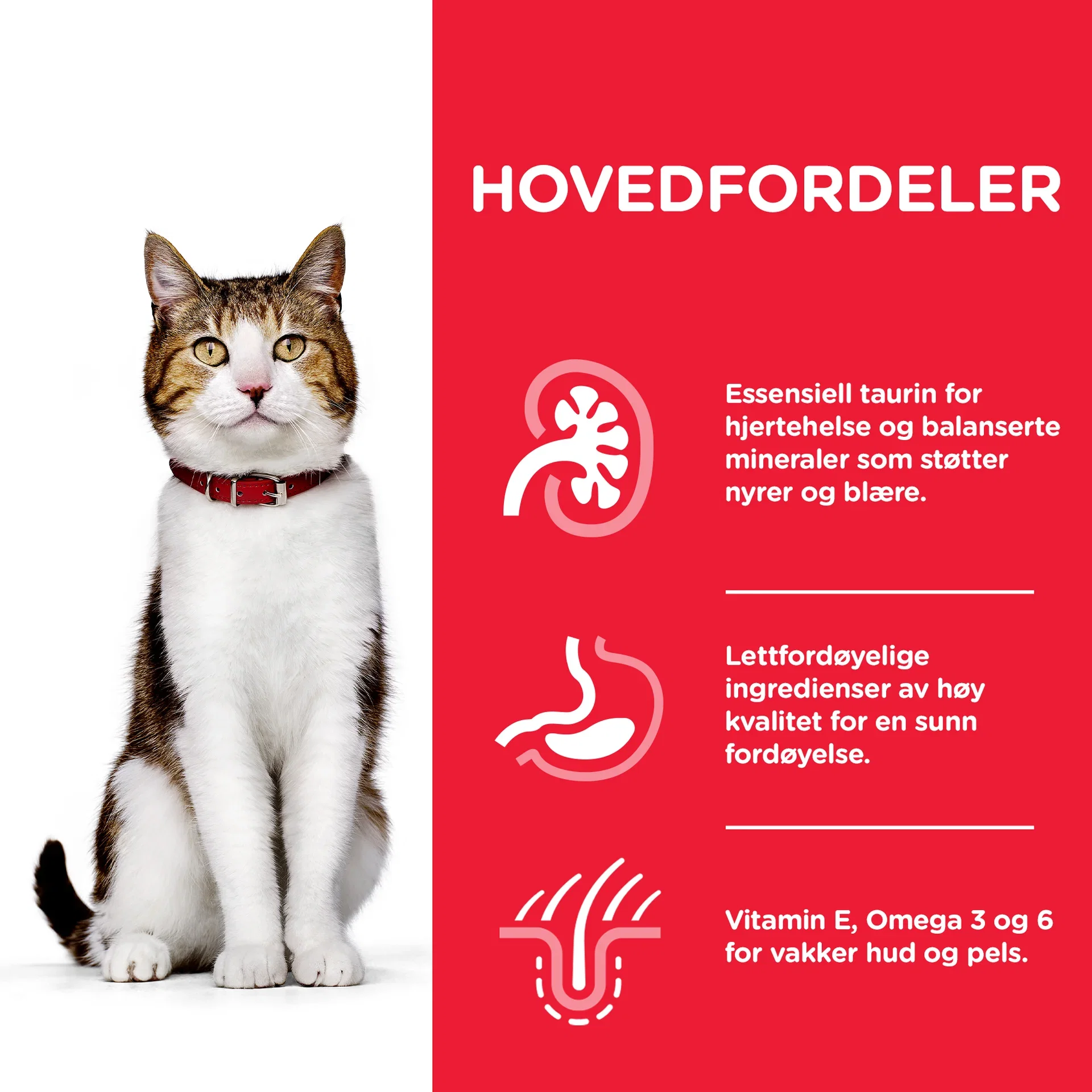 Hill's Mature adult Kylling