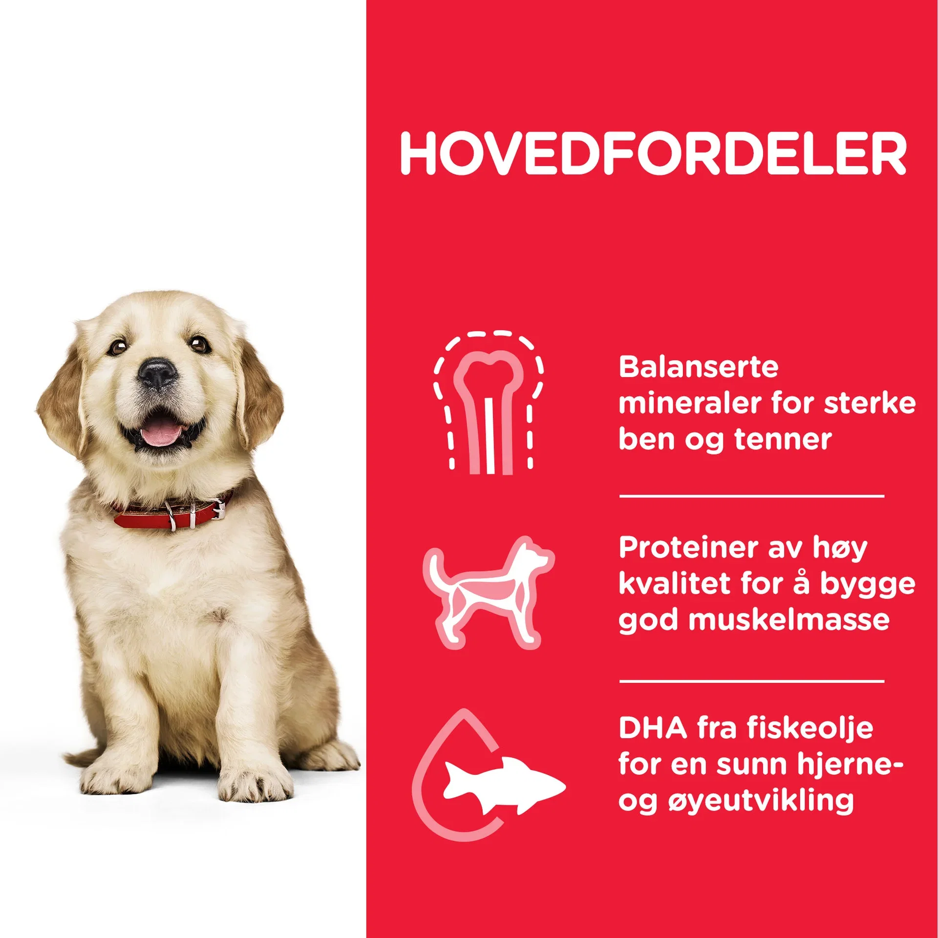 SP Puppy Large Breed Chicken 12kg