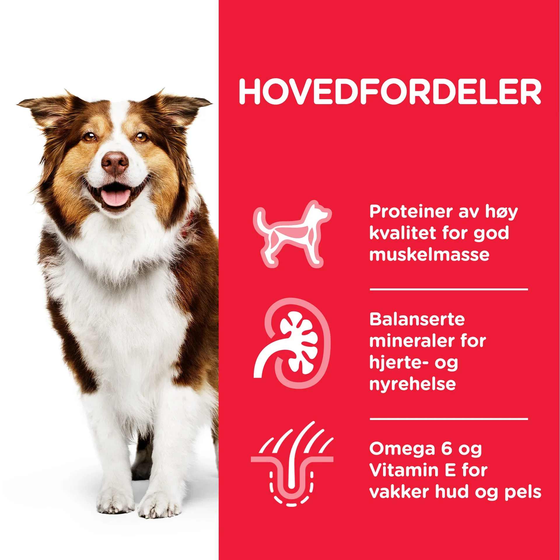 Hill's Medium Mature adult 7+