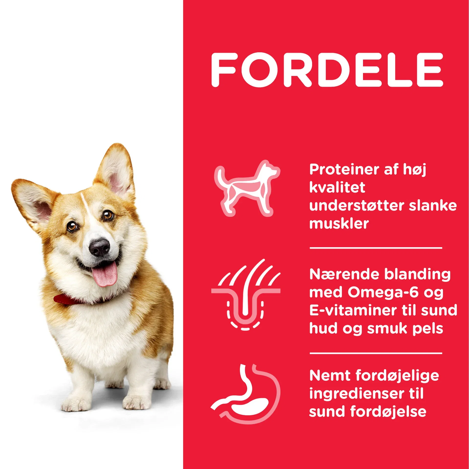 Hill's Small & Mini Adult