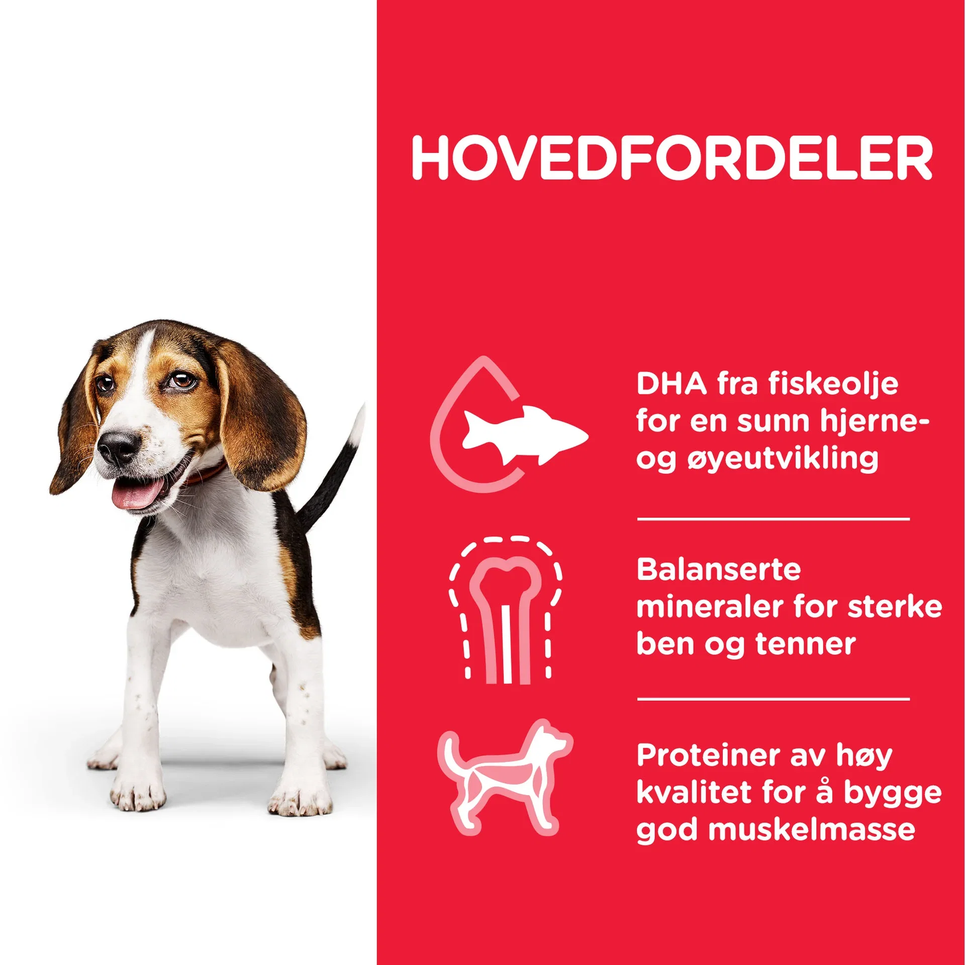 SP Puppy Medium Chicken 2.5kg