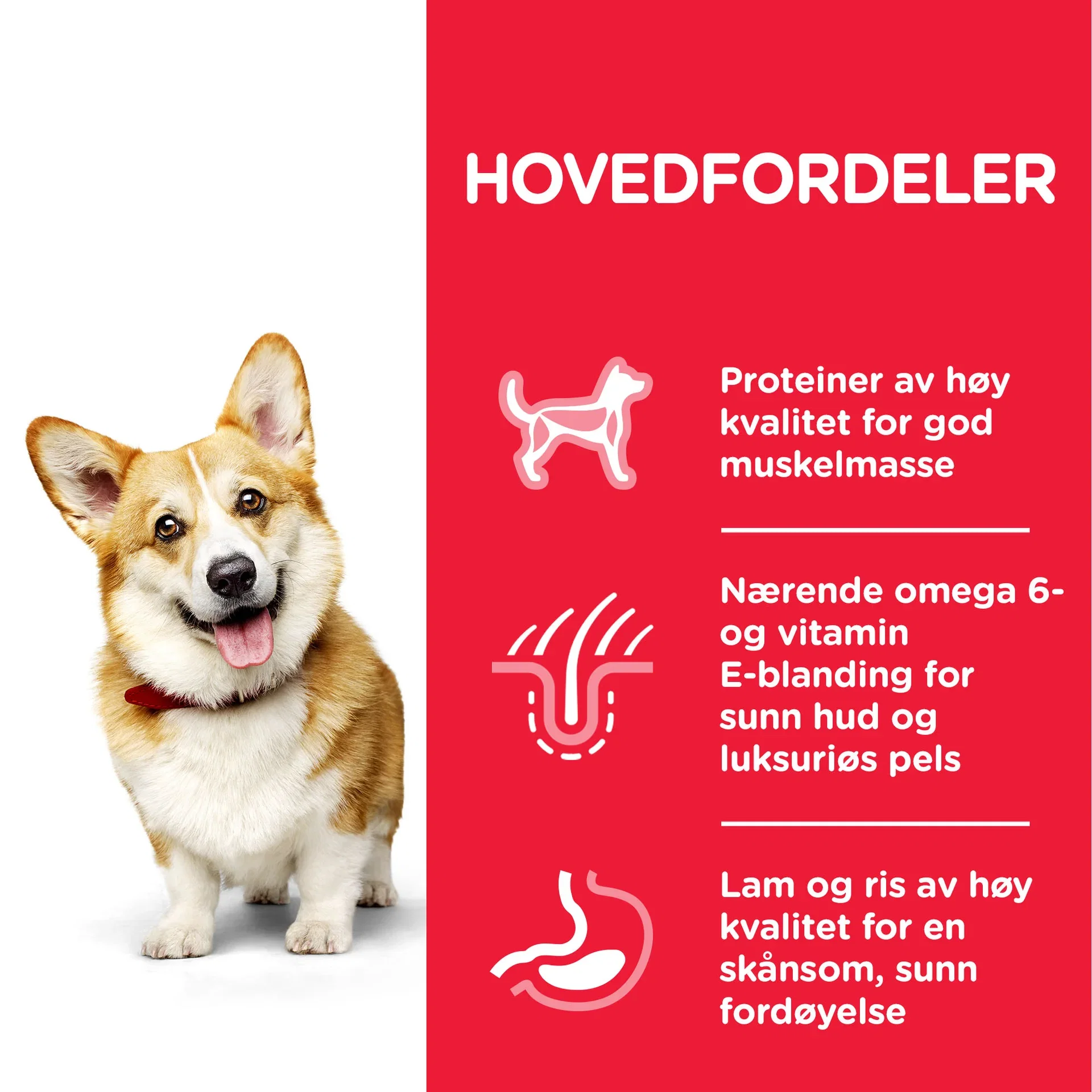 SP Canine Adult Small&Mini Lamb&Rice 6kg