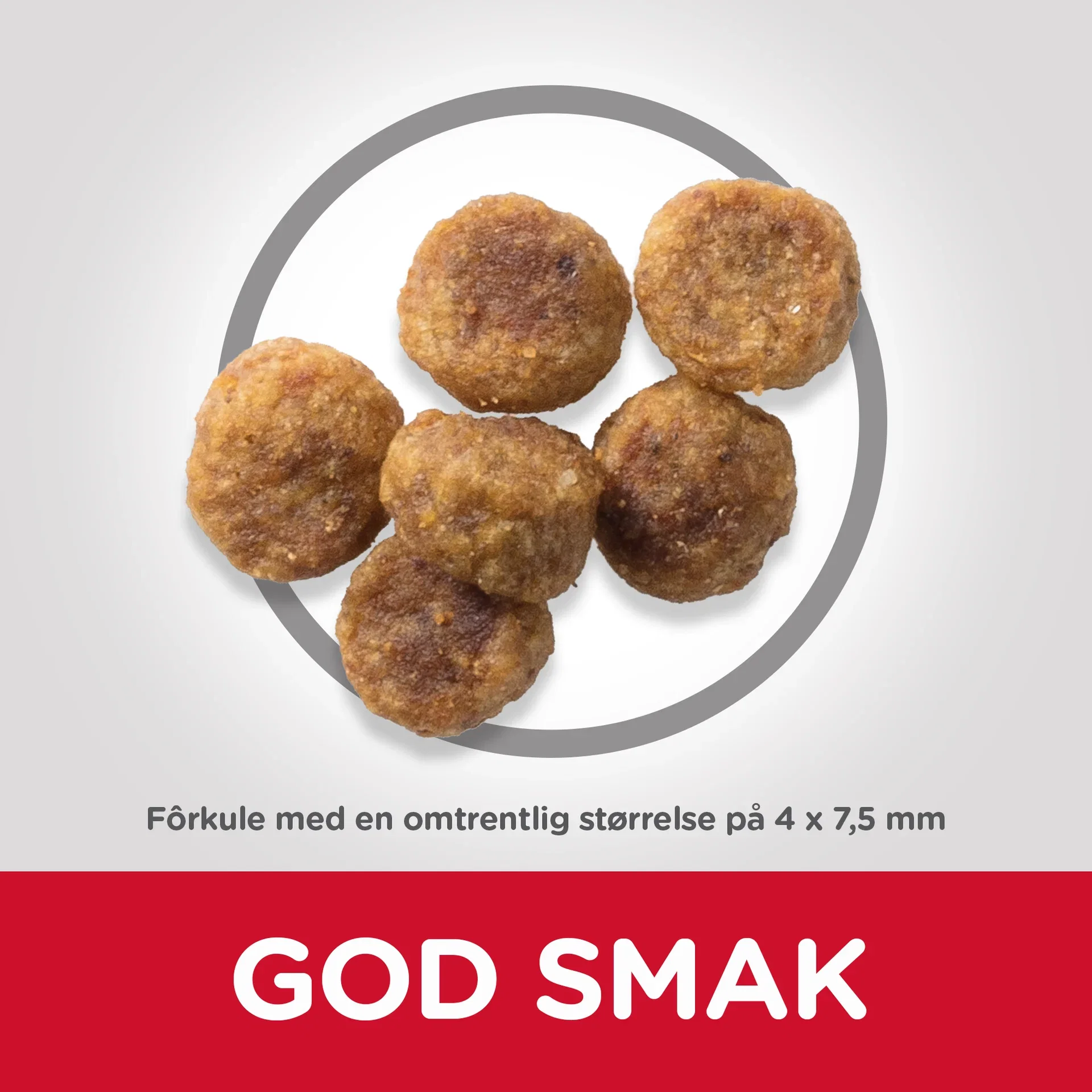 SP Canine Adult Small&Mini Lamb&Rice 6kg