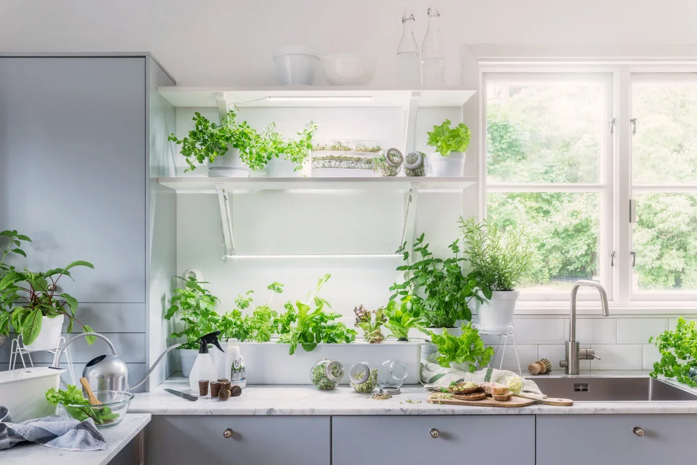 Hydroponisk dyrking - Harvy-startpakke