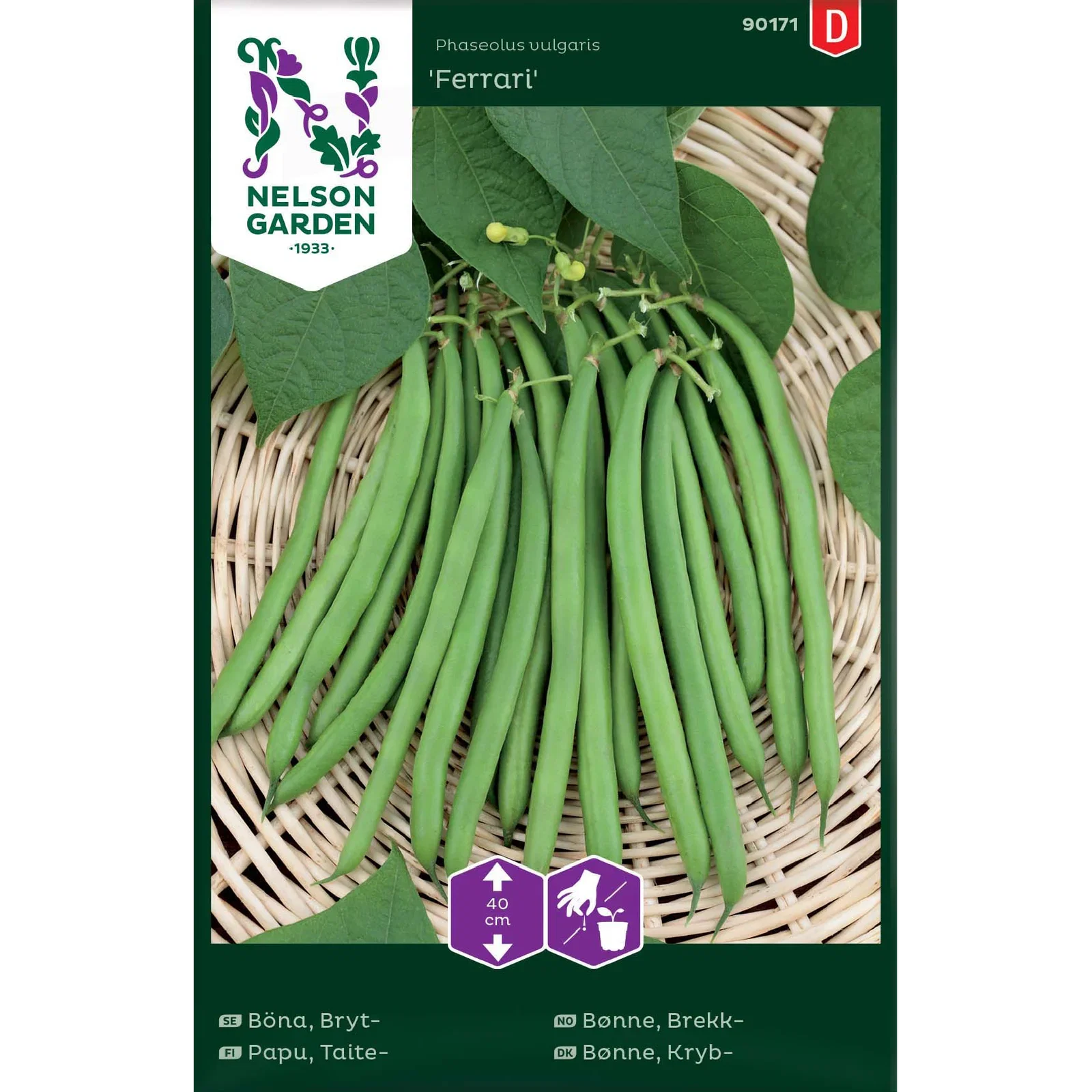 Brekkbønne 'Ferrari'