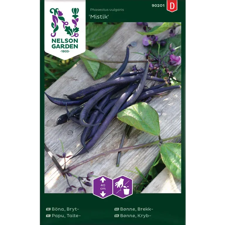 Brekkbønne 'Mistik'