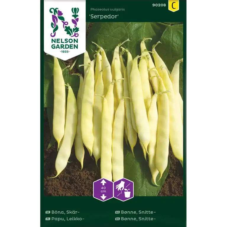 Snittebønne 'Serpedor'