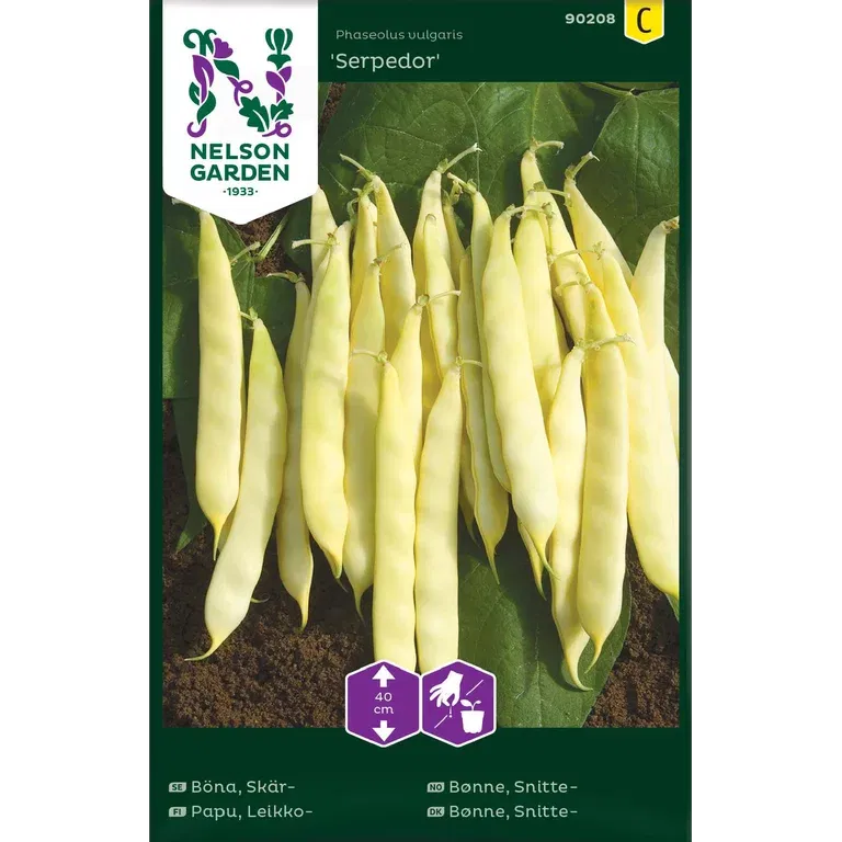 Snittebønne 'Serpedor'