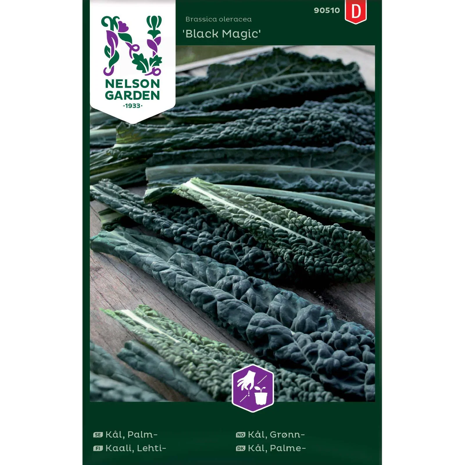 Grønnkål 'Black Magic'
