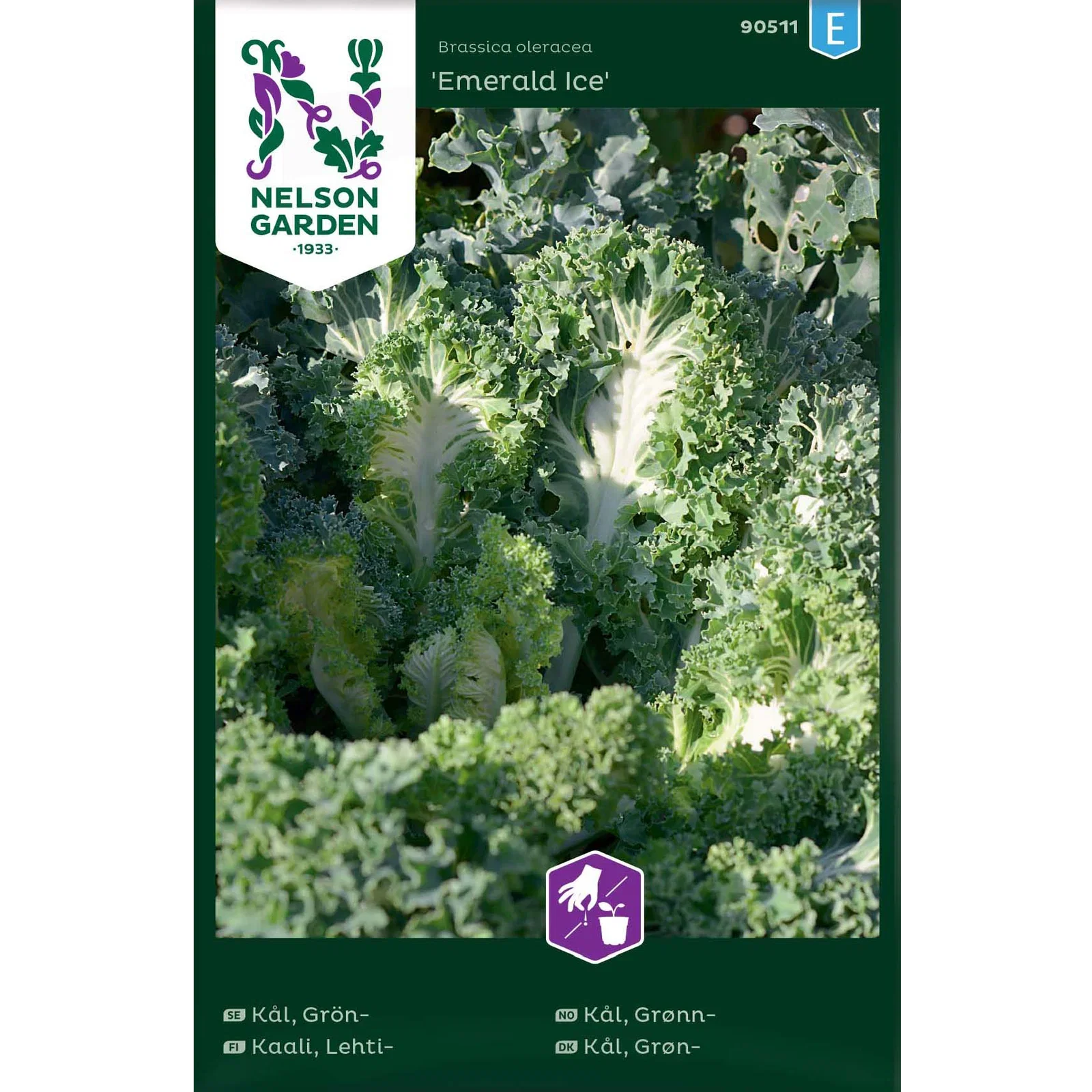 Grønnkål 'Emerald Ice'