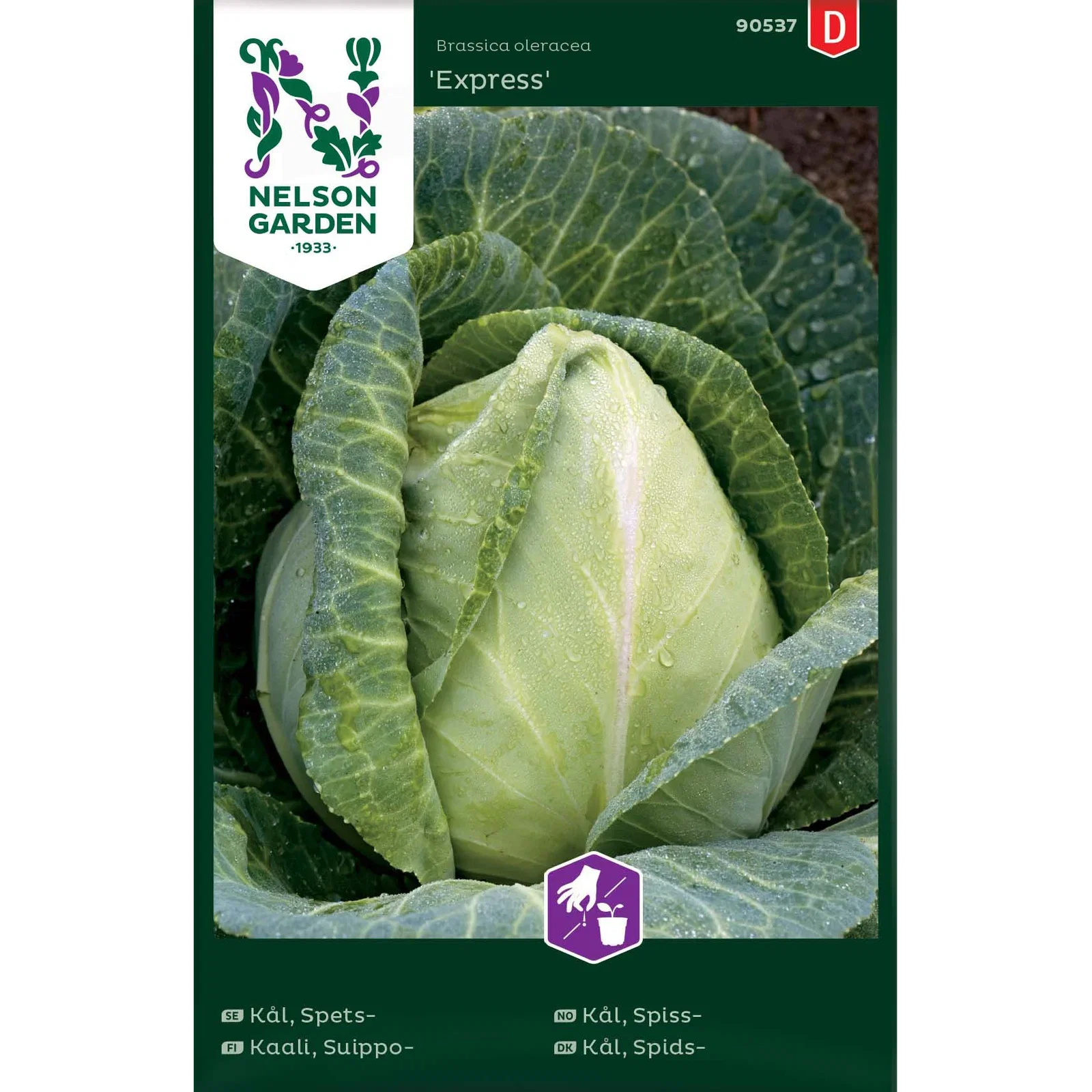 Kål, Spets-, Express