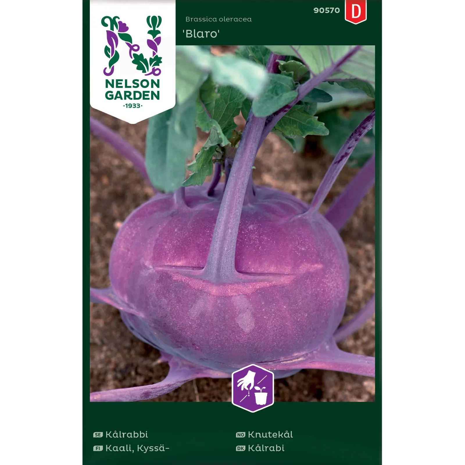 Knutekål 'Blaro'