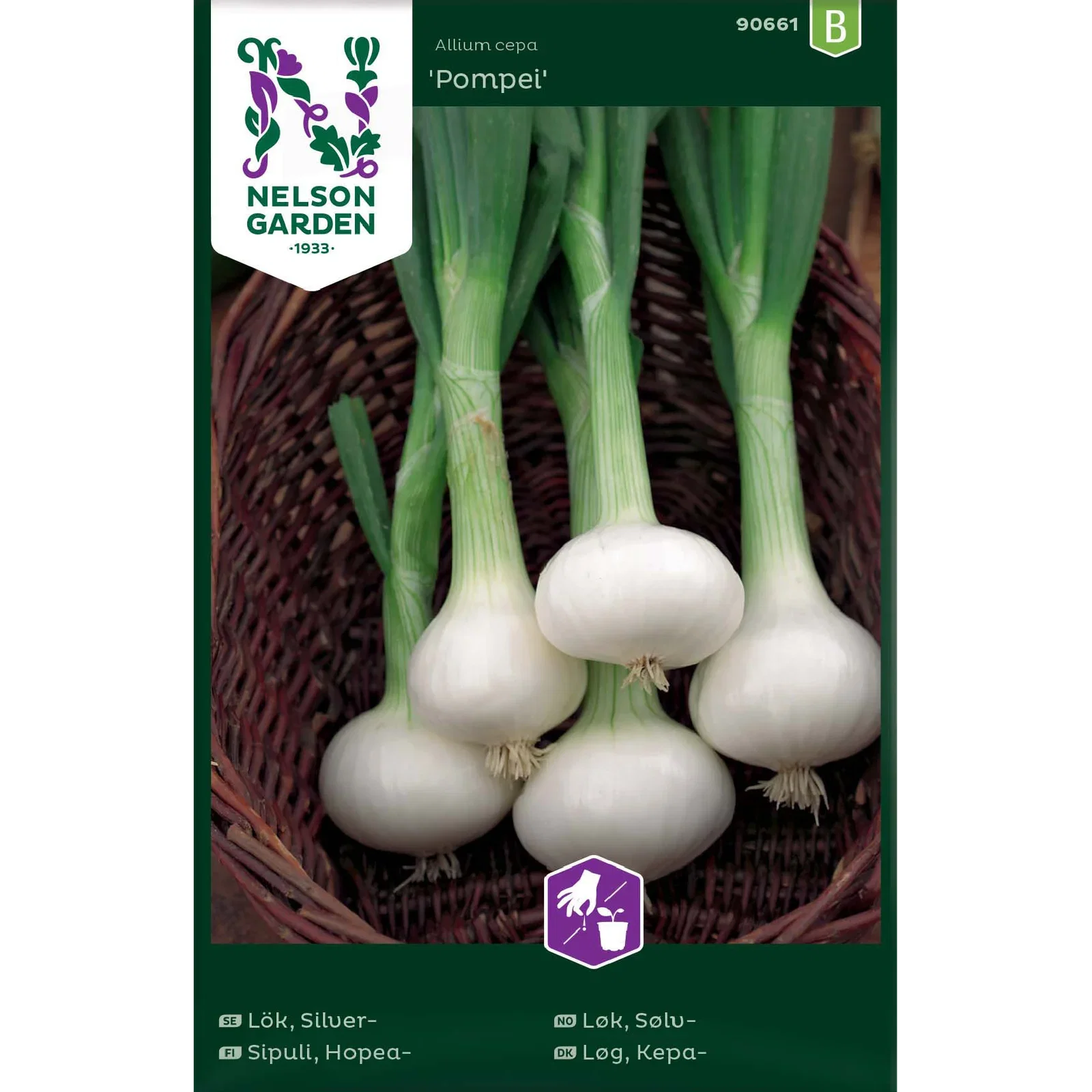 Lök, Silver-, Pompei