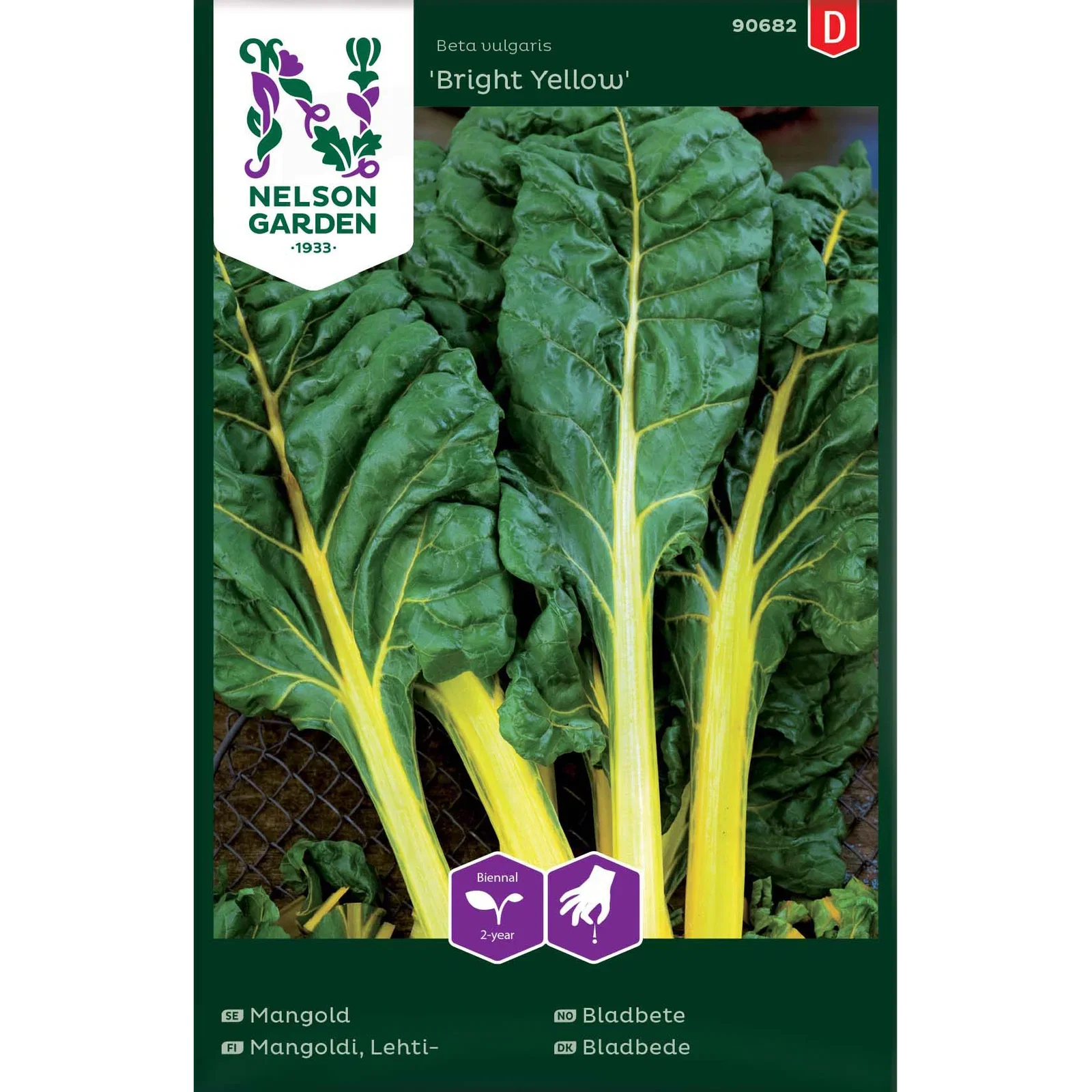 Bladbete 'Bright Yellow'