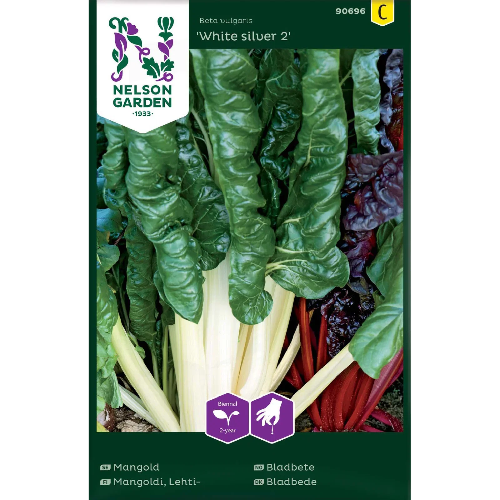 Bladbete 'White silver 2'