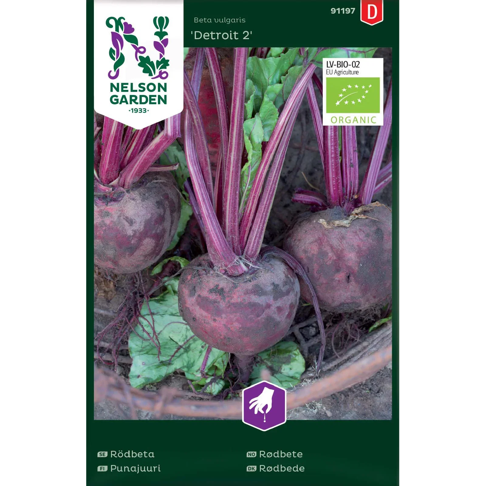Rødbete 'Detroit 2'
