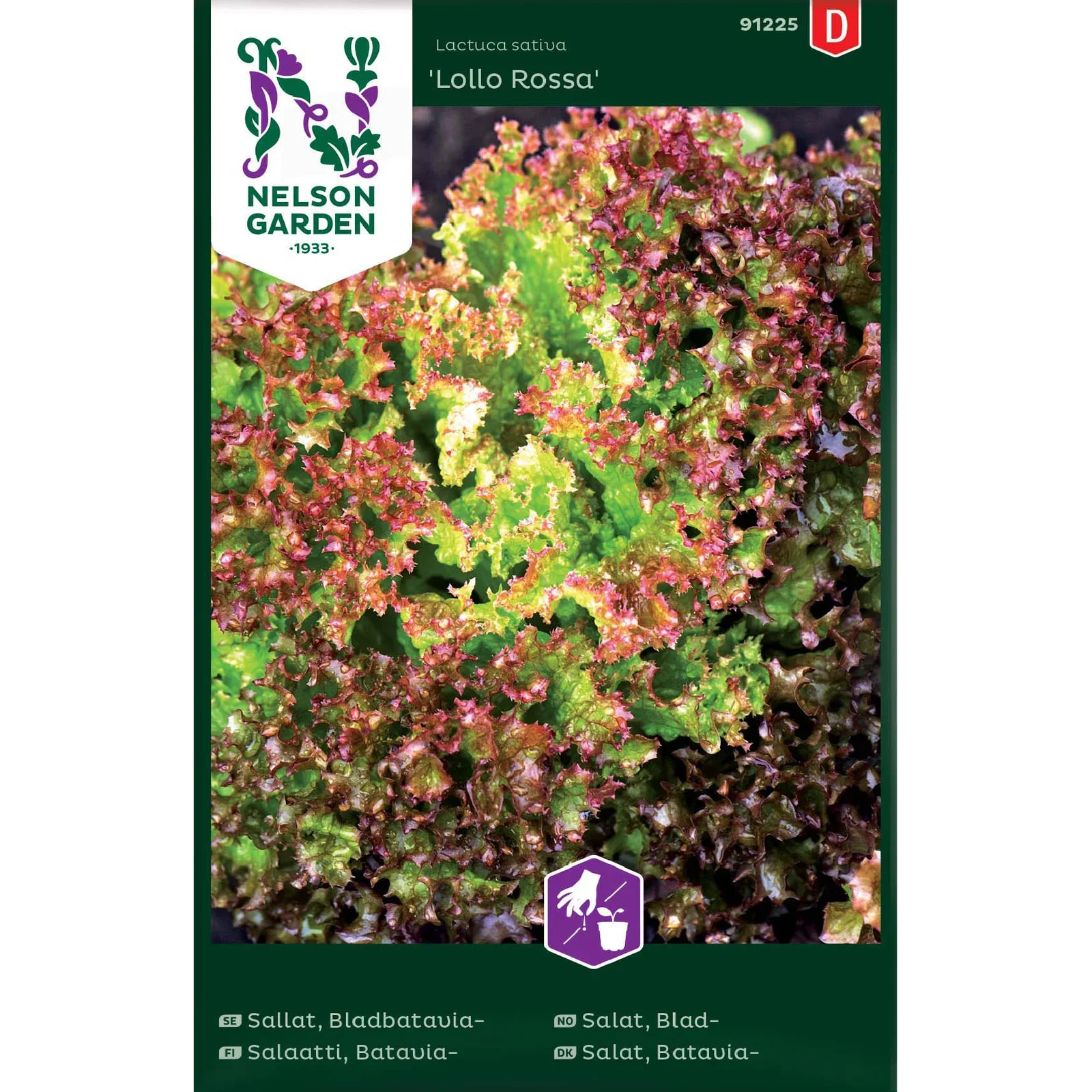 Sallat, Bladbatavia-, Lollo Ro
