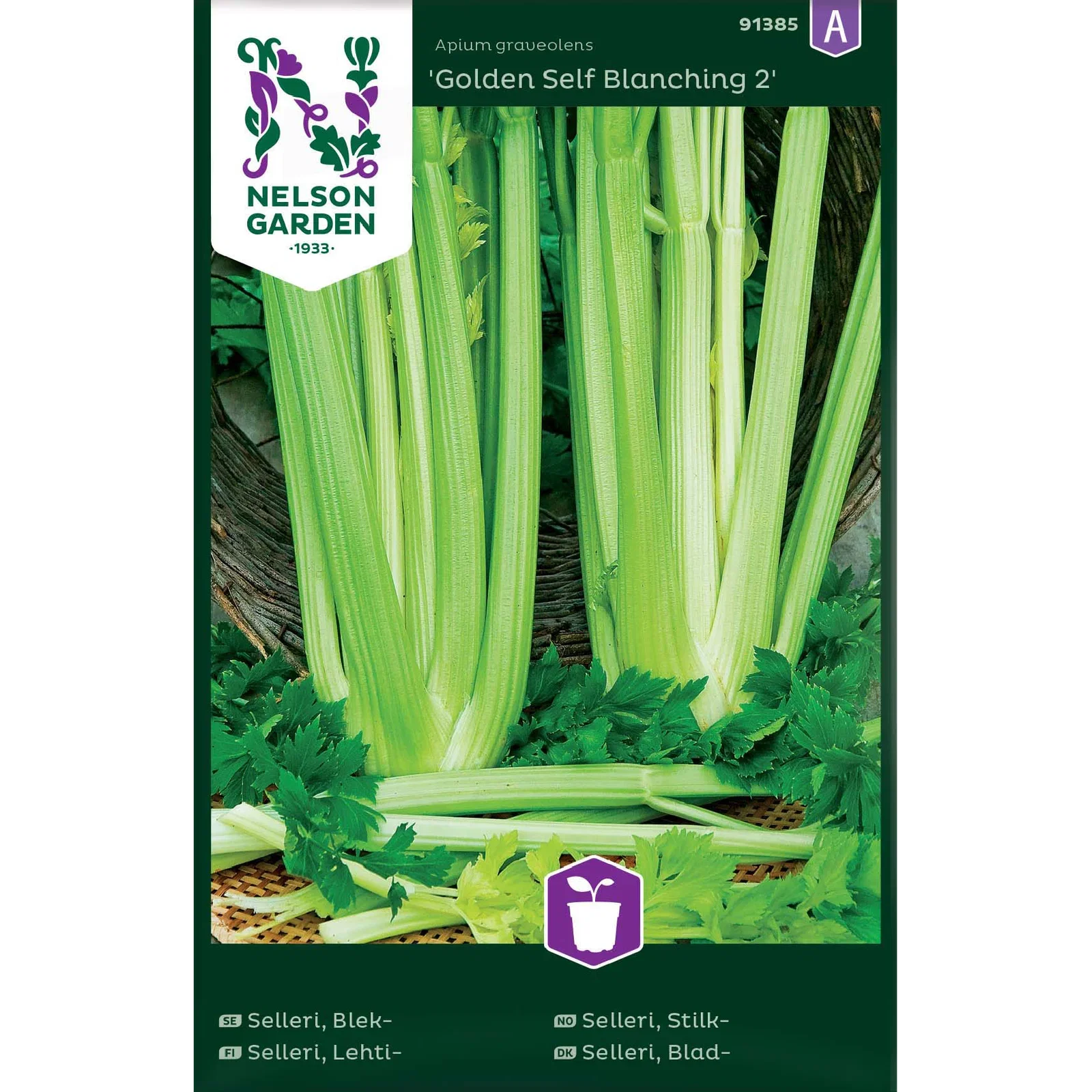 Selleri, Blek-, Golden Self Bl