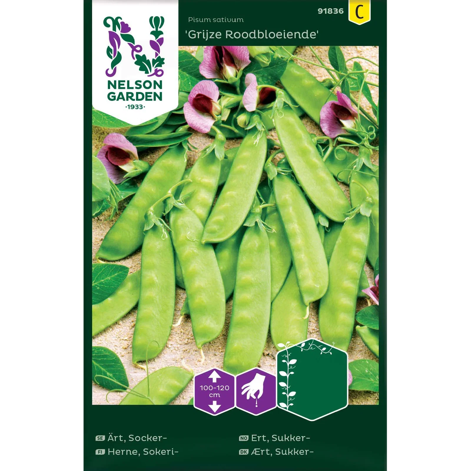 Ärt, Socker-, Grijze Roodbloeiende, hög