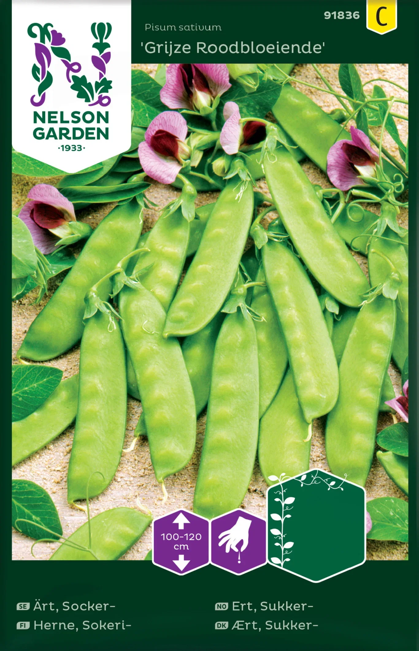 Ärt, Socker-, Grijze Roodbloeiende, hög