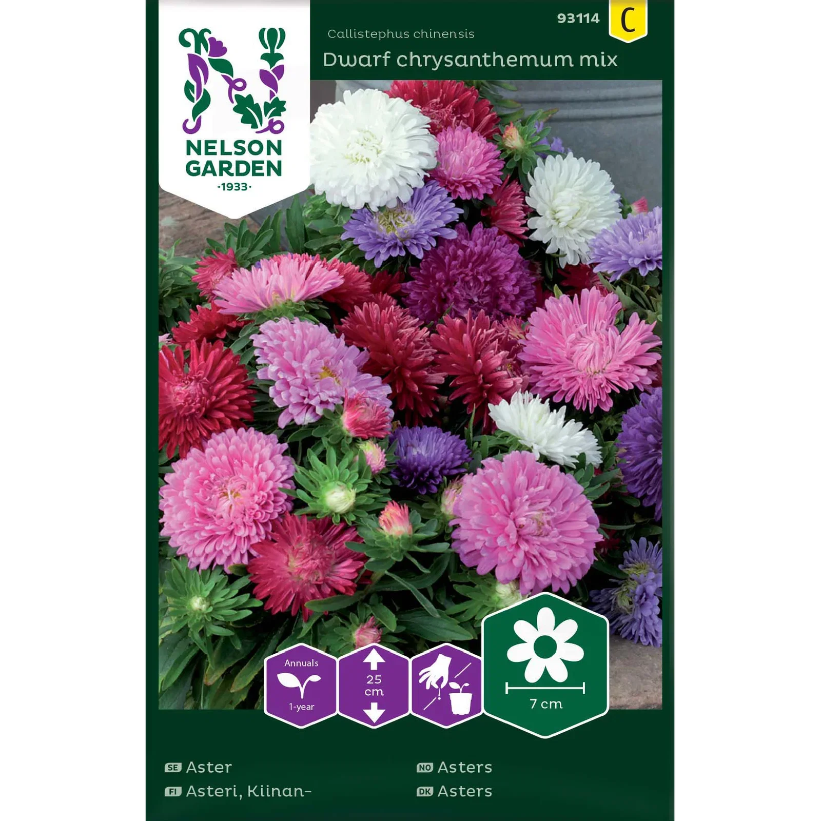 Aster, Dvärg, bl färger