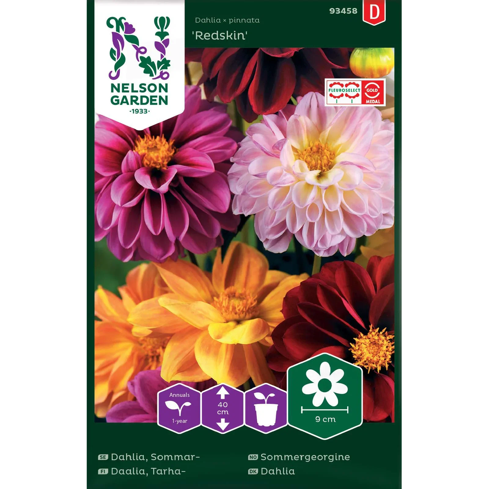 Dahlia, Sommar-, Redskin, bl f
