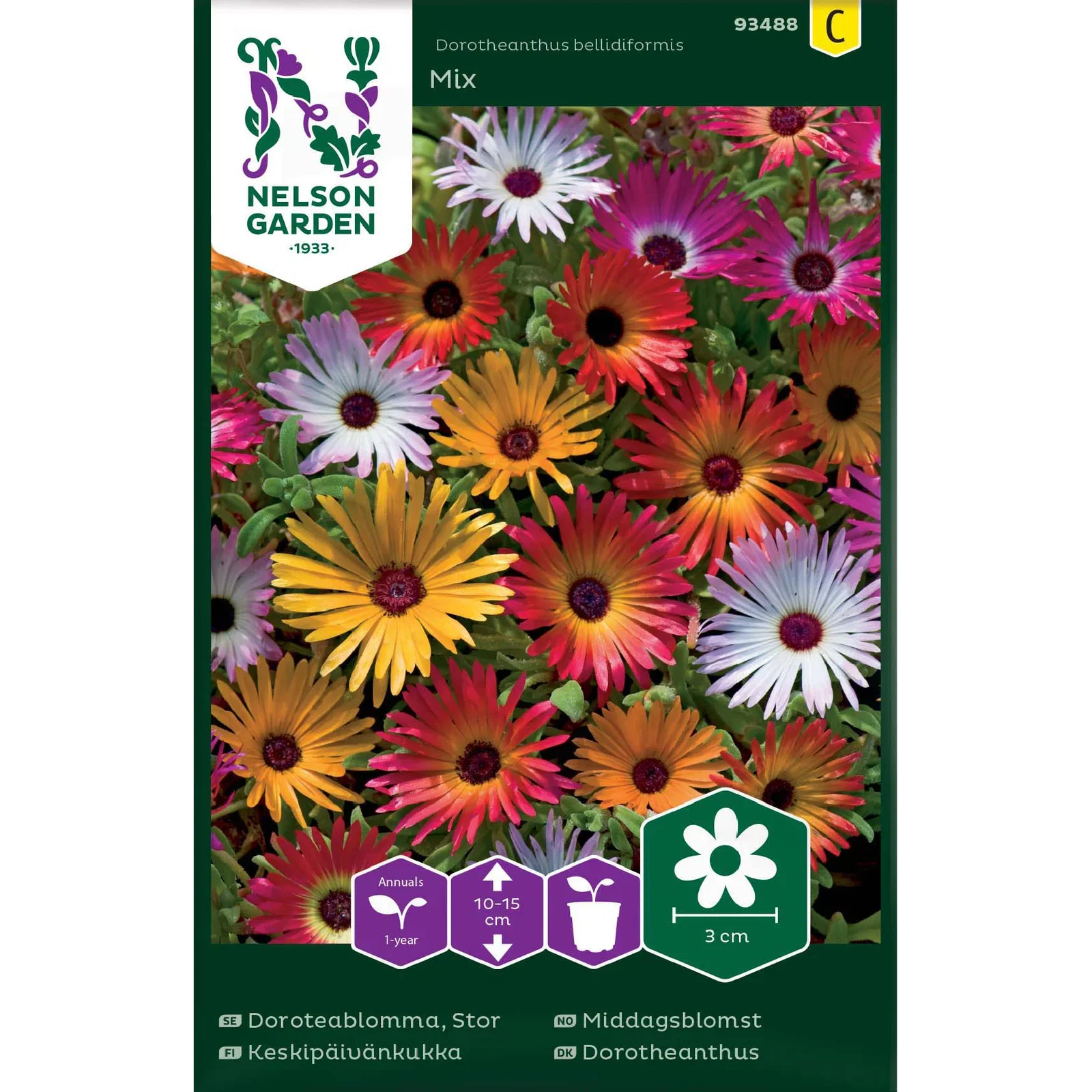 Doroteablomma, Stor, bl.färger