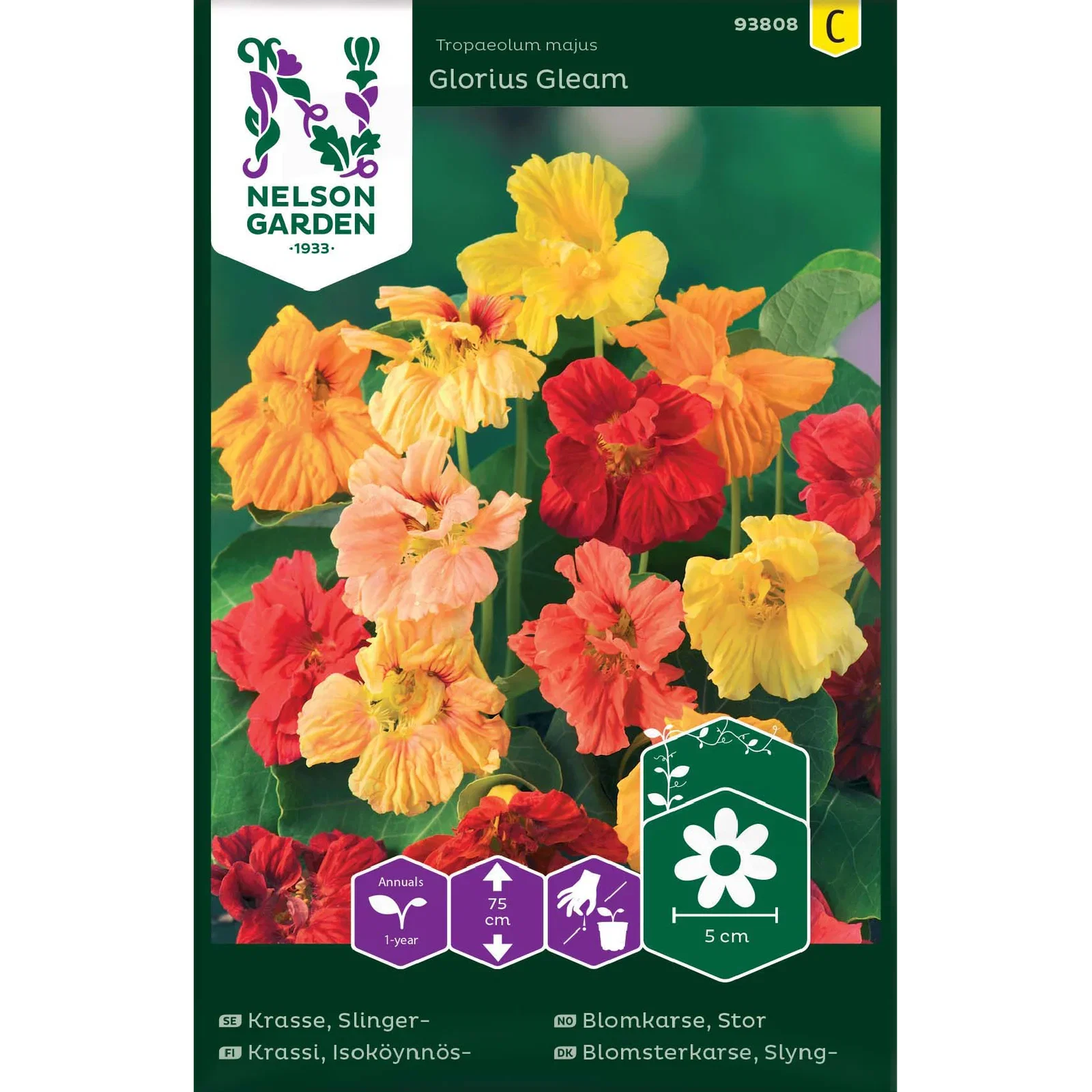 Krasse, Slinger-, Glorius Glea