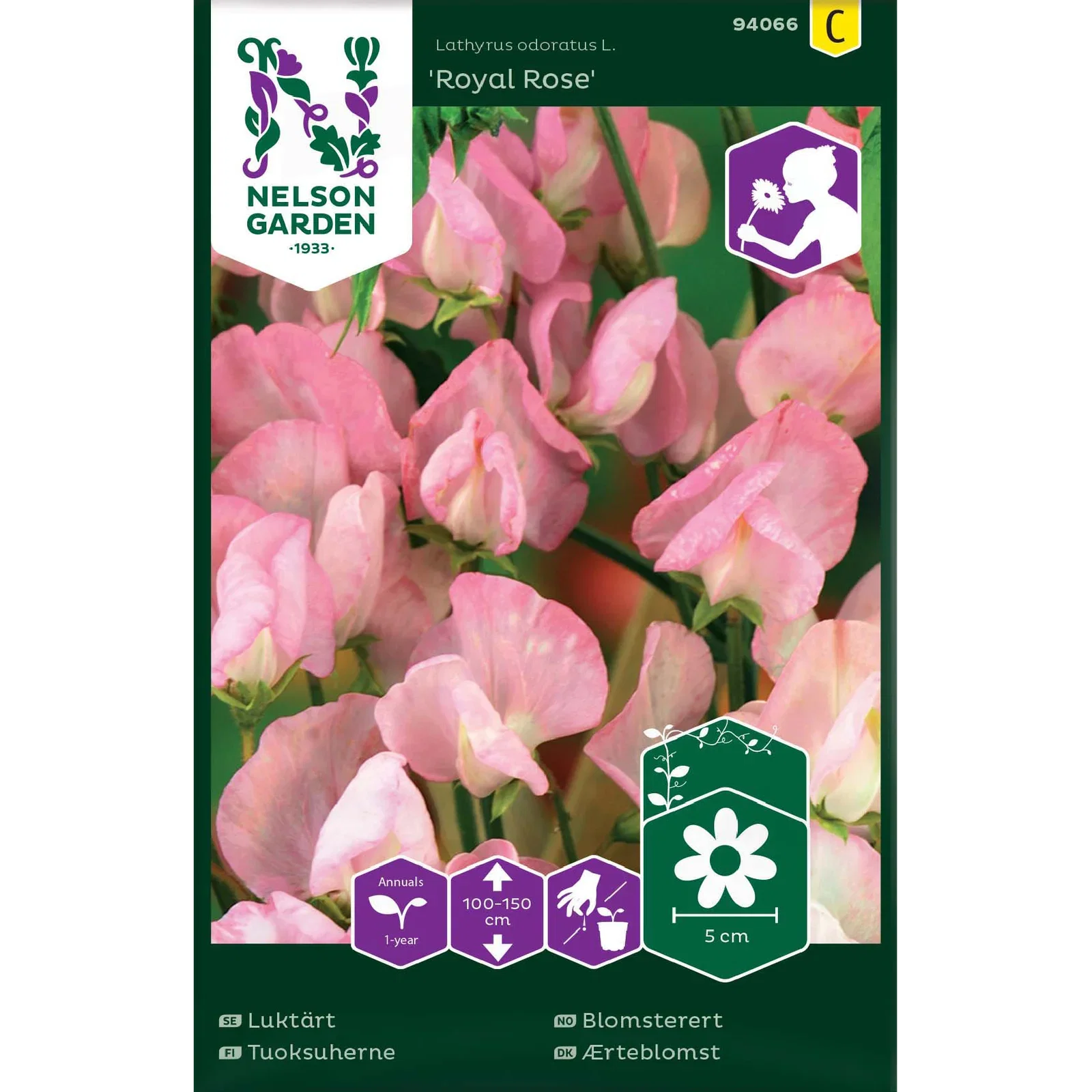 Luktärt, Royal Rose, rosa