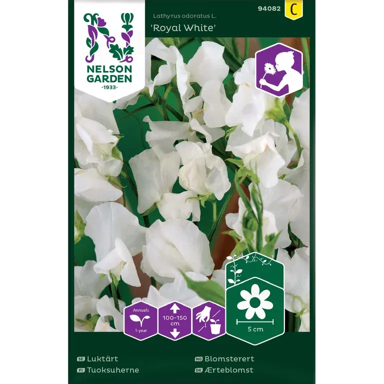 Blomsterert 'Royal White'