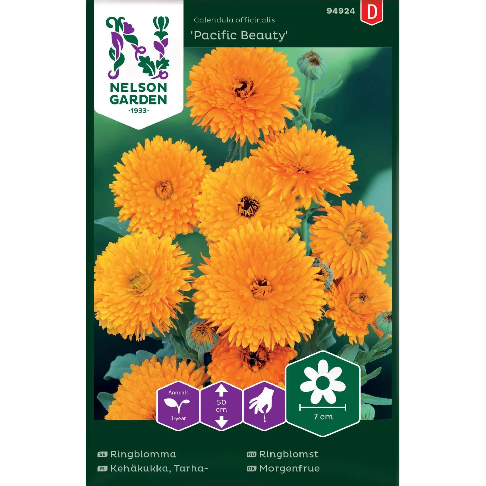 Ringblomma, Pacific Beauty