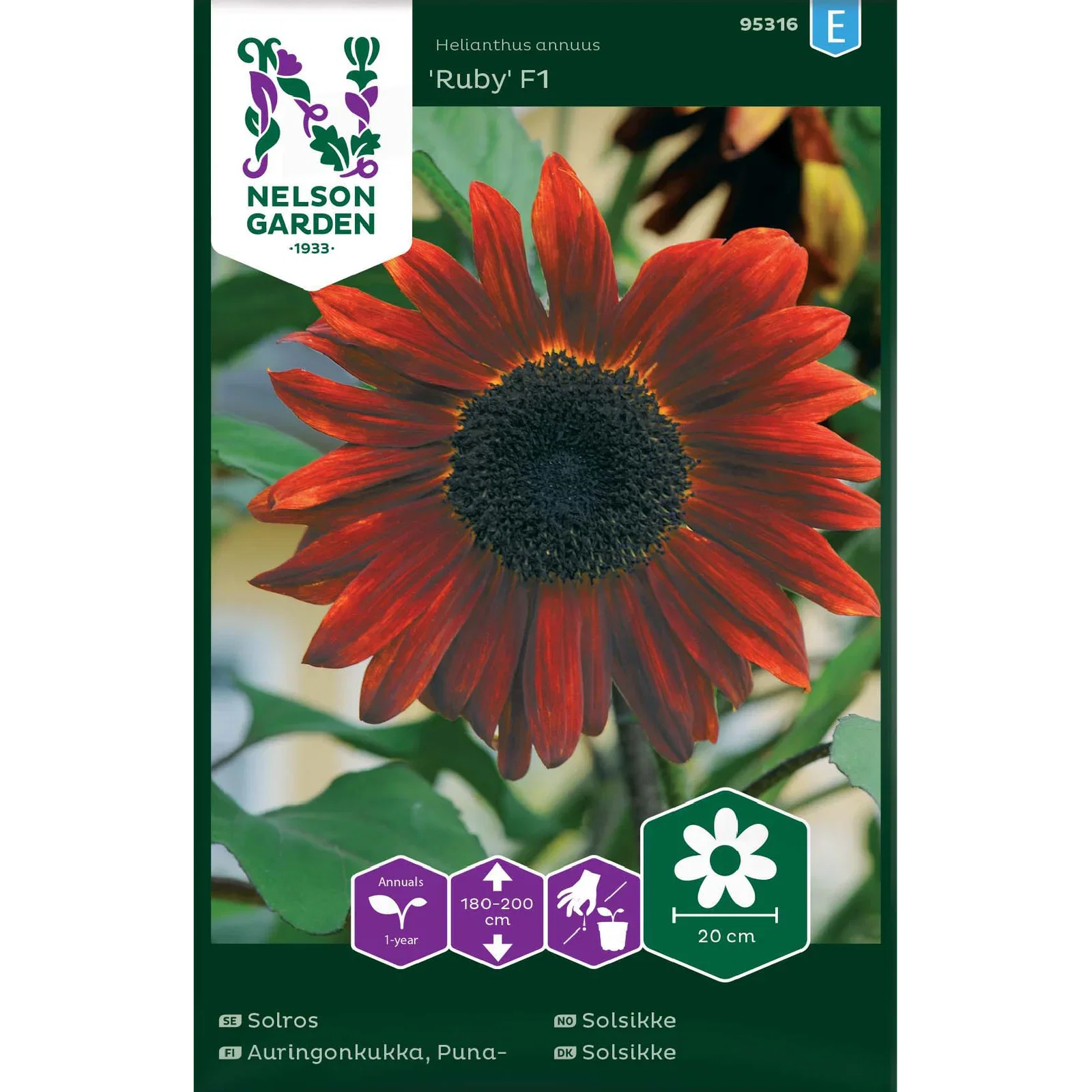 Solsikke 'Ruby' F1