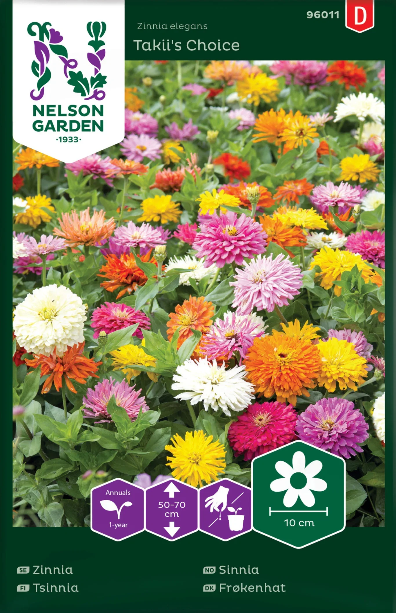 Zinnia, Takii´s Choice