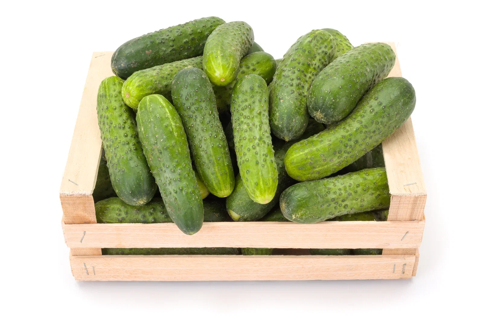 Västerås agurk 'Charlotte' KRAV