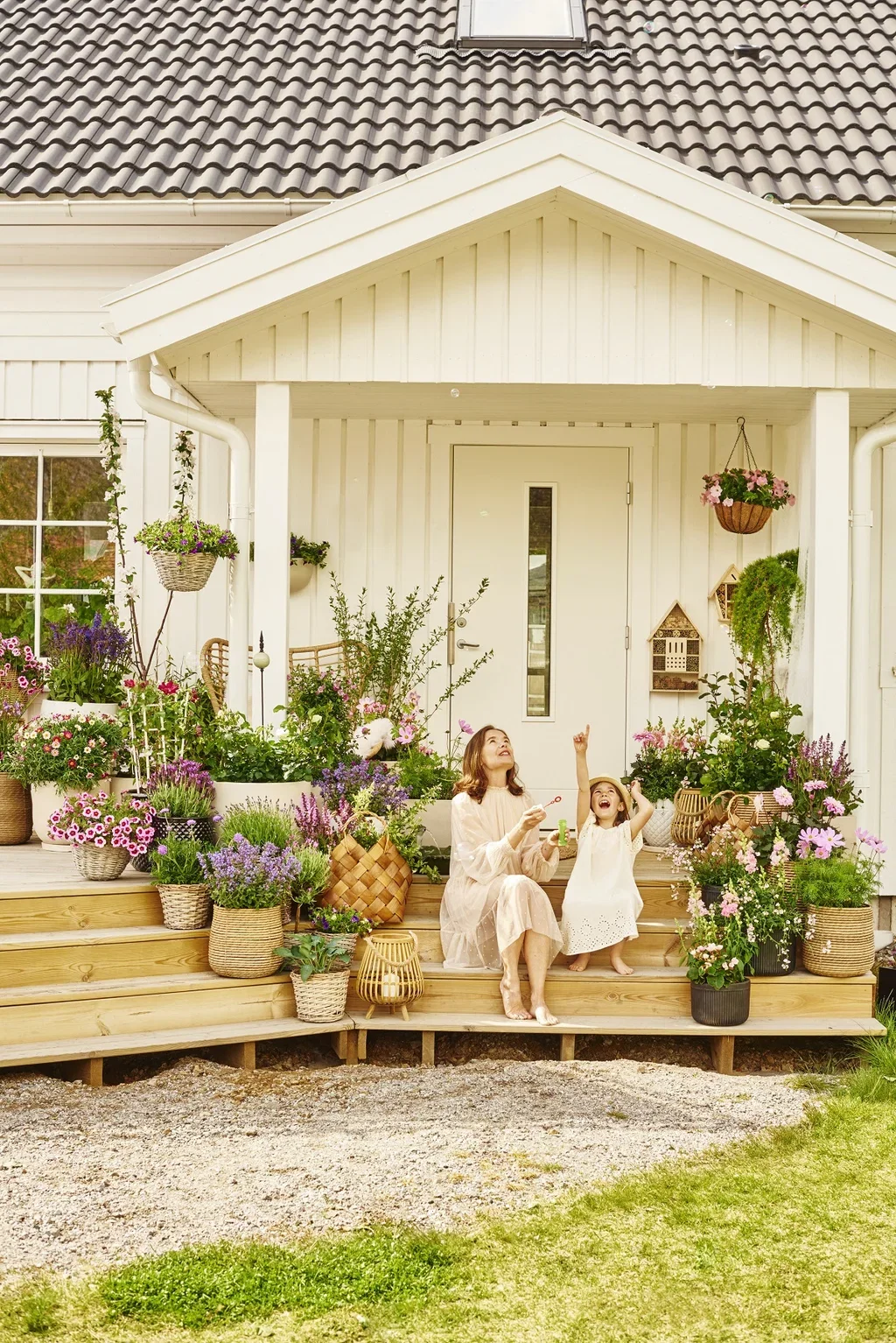 Prydkattemynte 'Purrsian Blue'