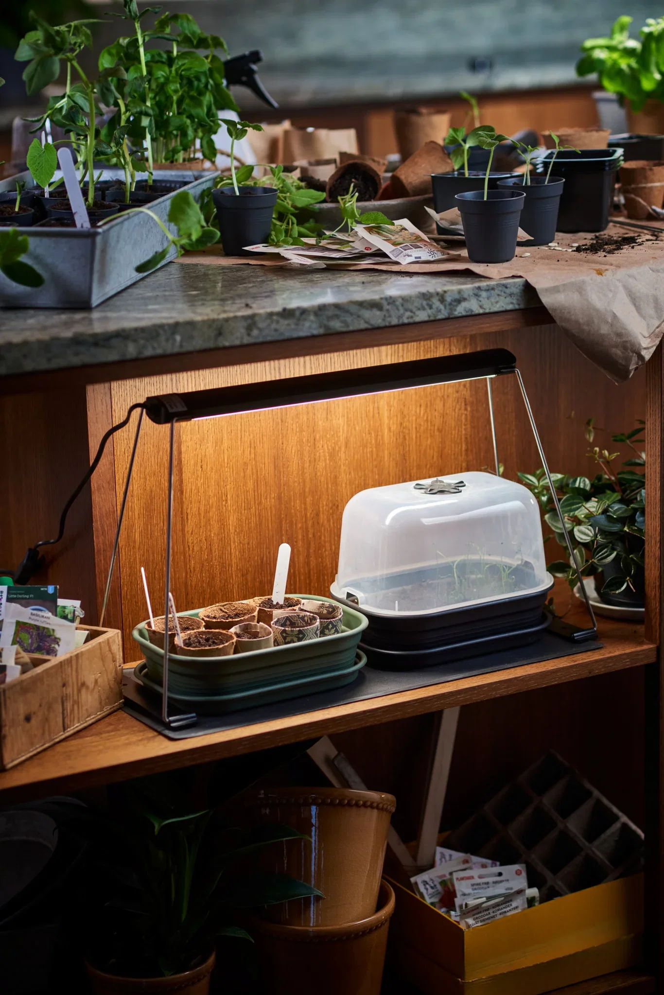 Plantebelysning Crescendo