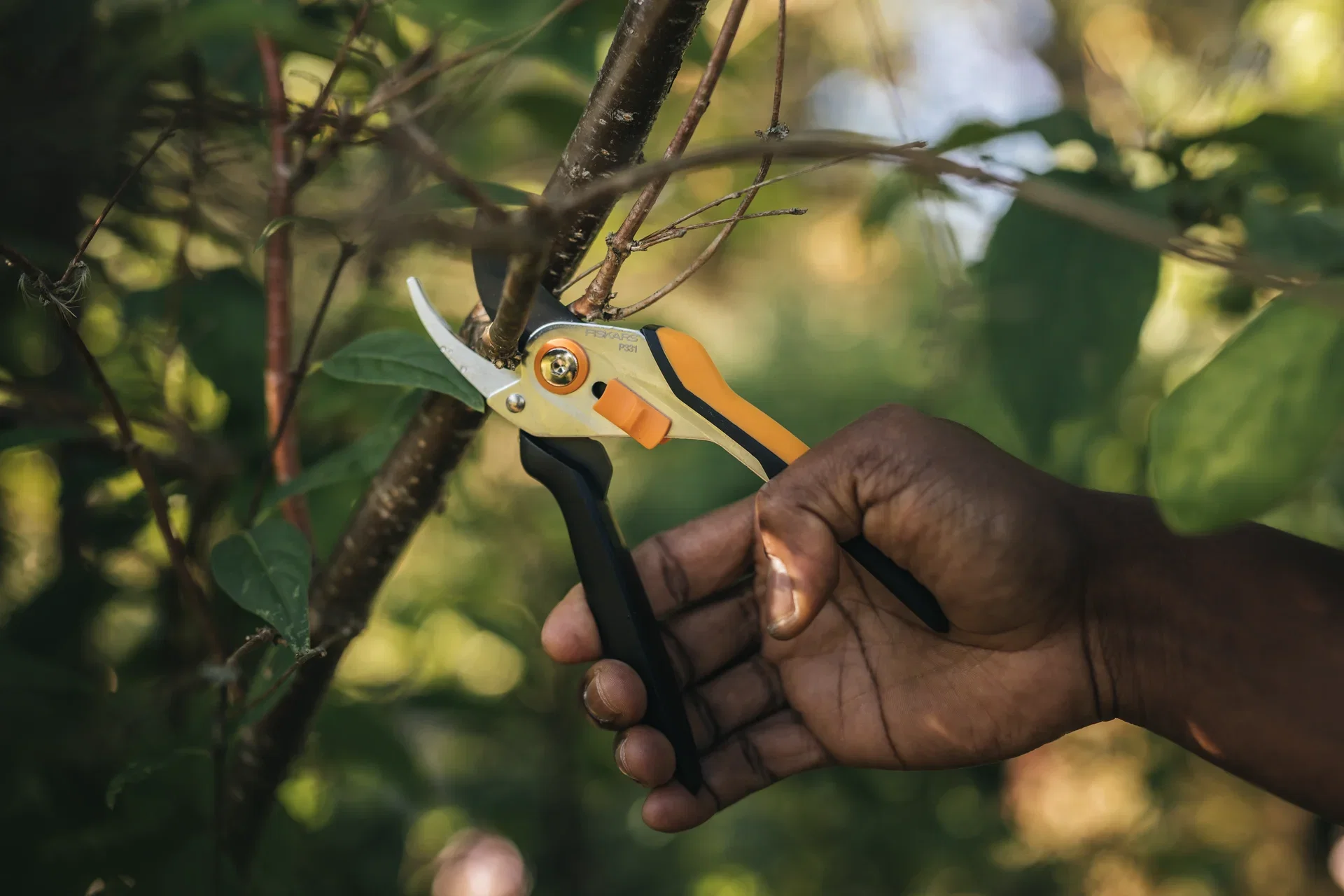 Pruner Solid P331