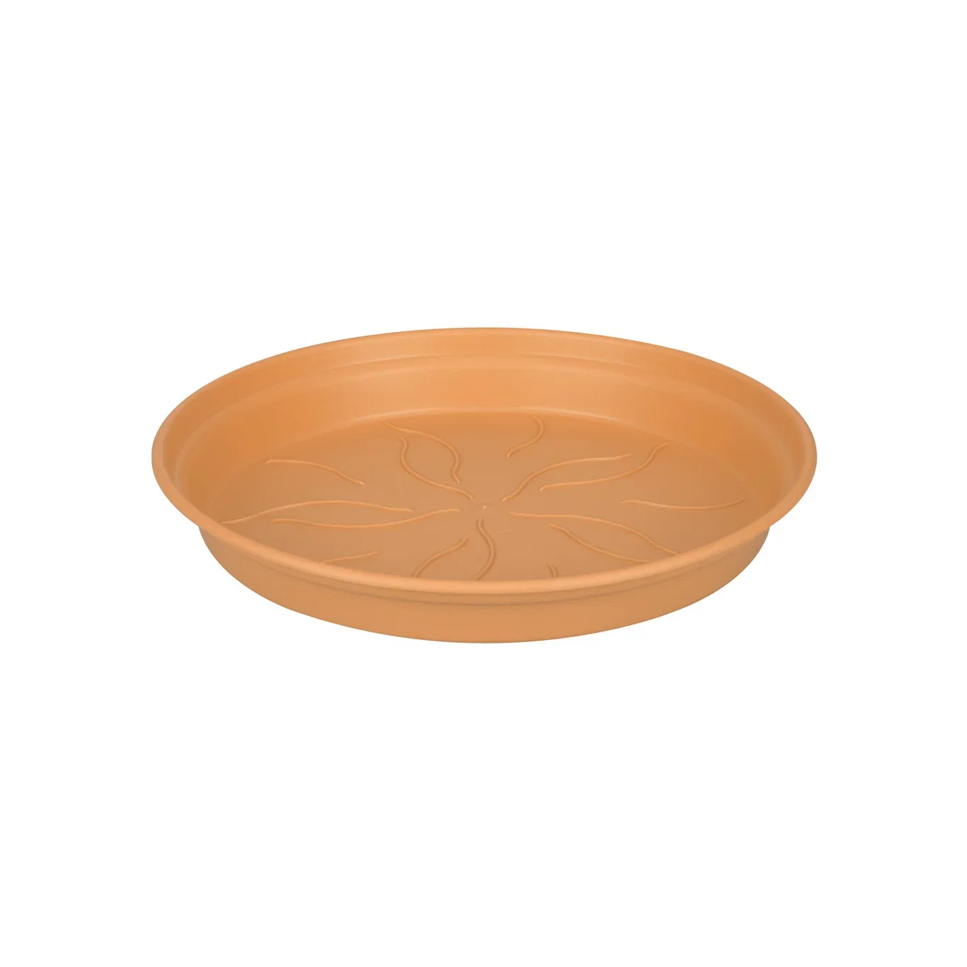 Saucer Green basics