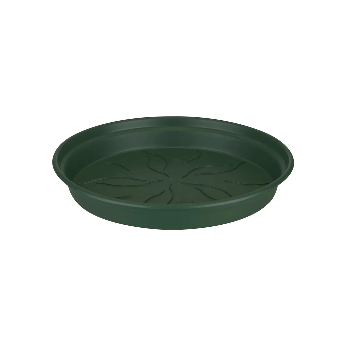 Saucer Green Basics